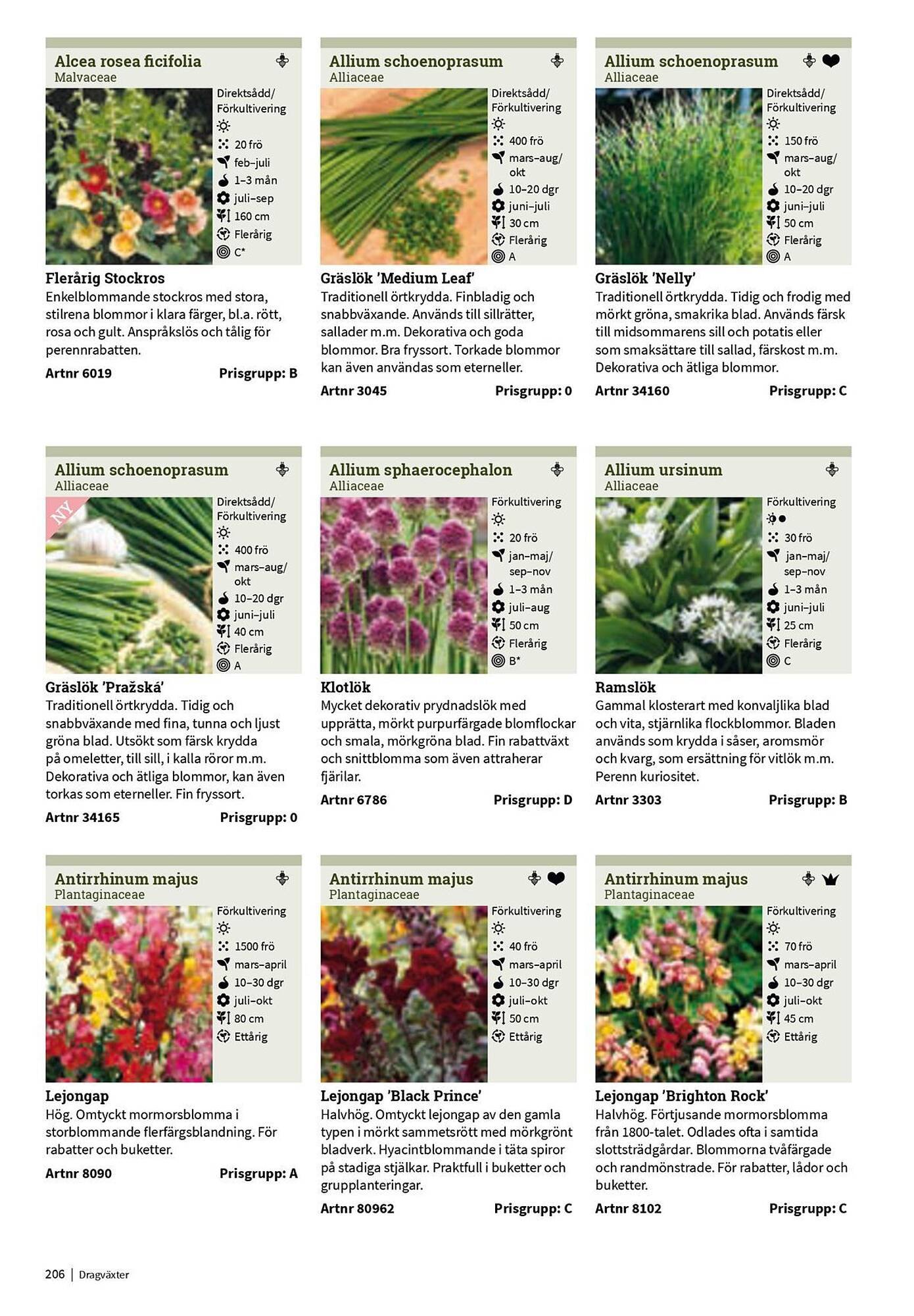Granngården kampanjblad (2025-09-11 - 2025-12-31)