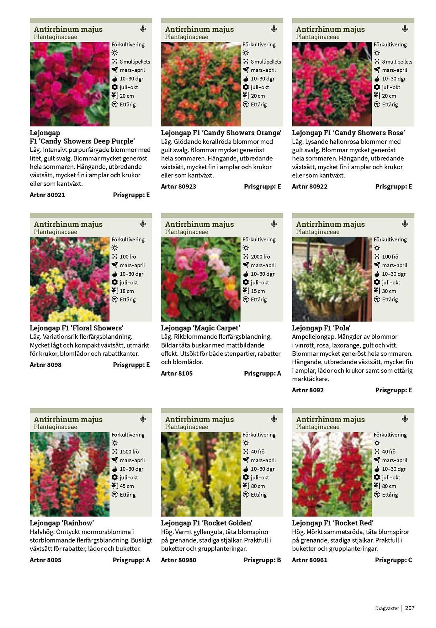 Granngården kampanjblad (2025-09-11 - 2025-12-31)