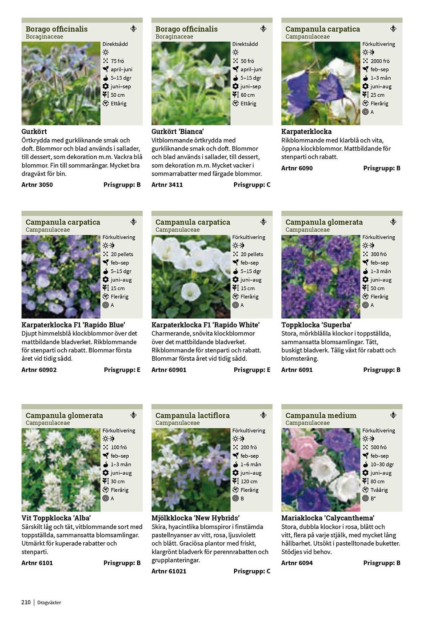 Granngården kampanjblad (2025-09-11 - 2025-12-31)