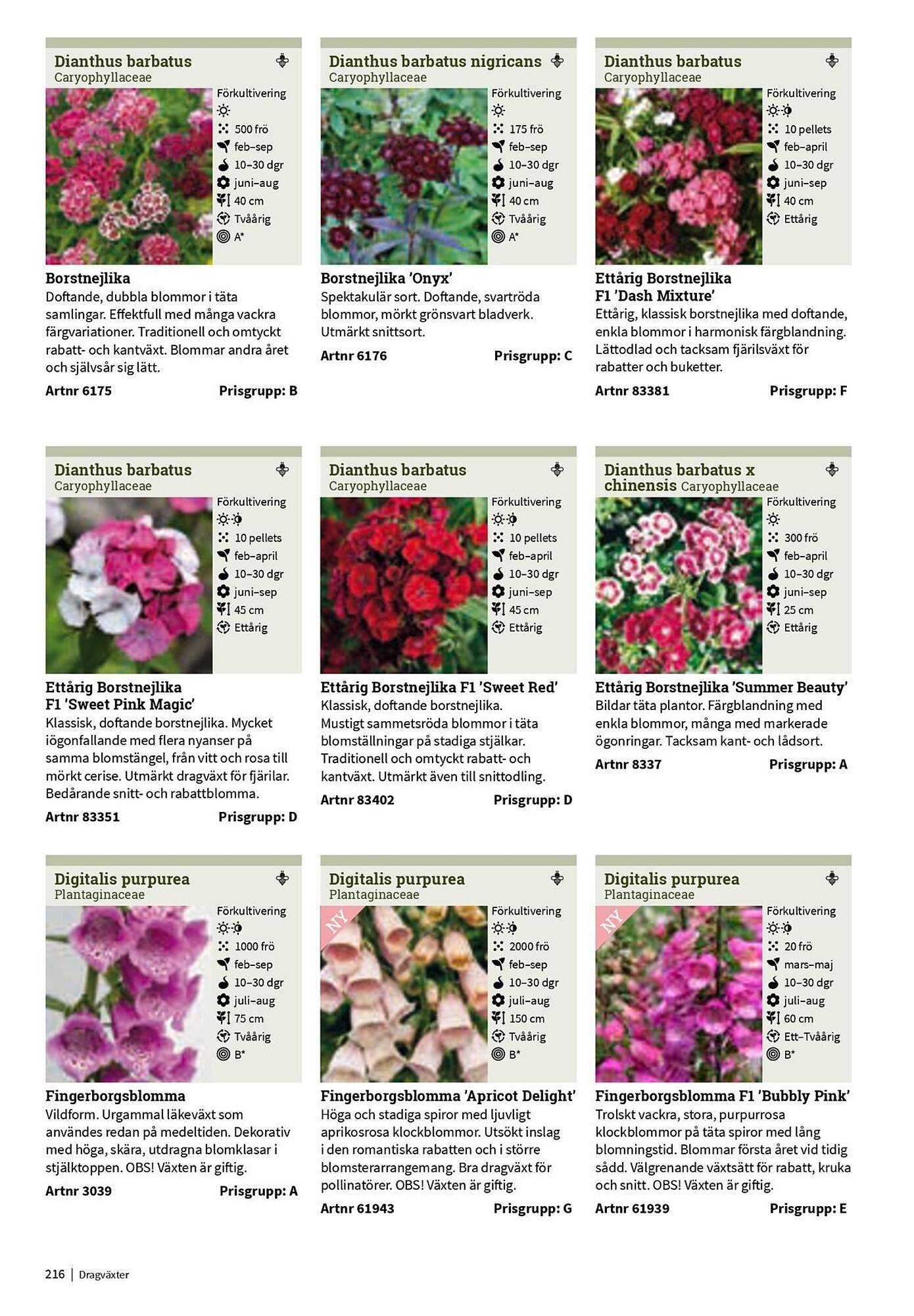Granngården kampanjblad (2025-09-11 - 2025-12-31)