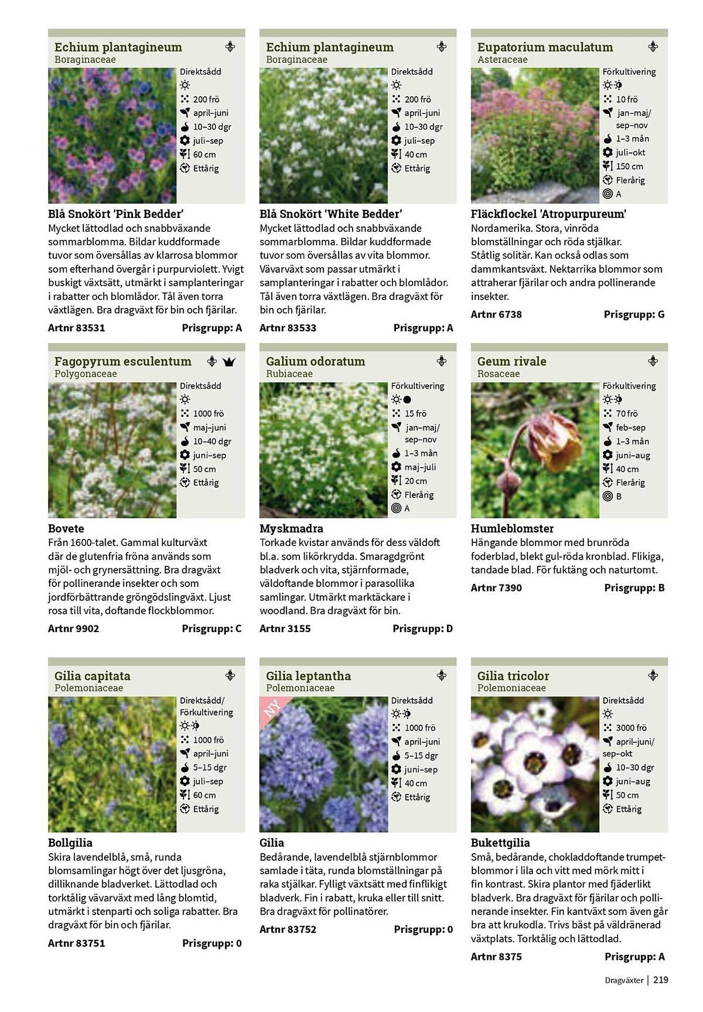 Granngården kampanjblad (2025-09-11 - 2025-12-31)
