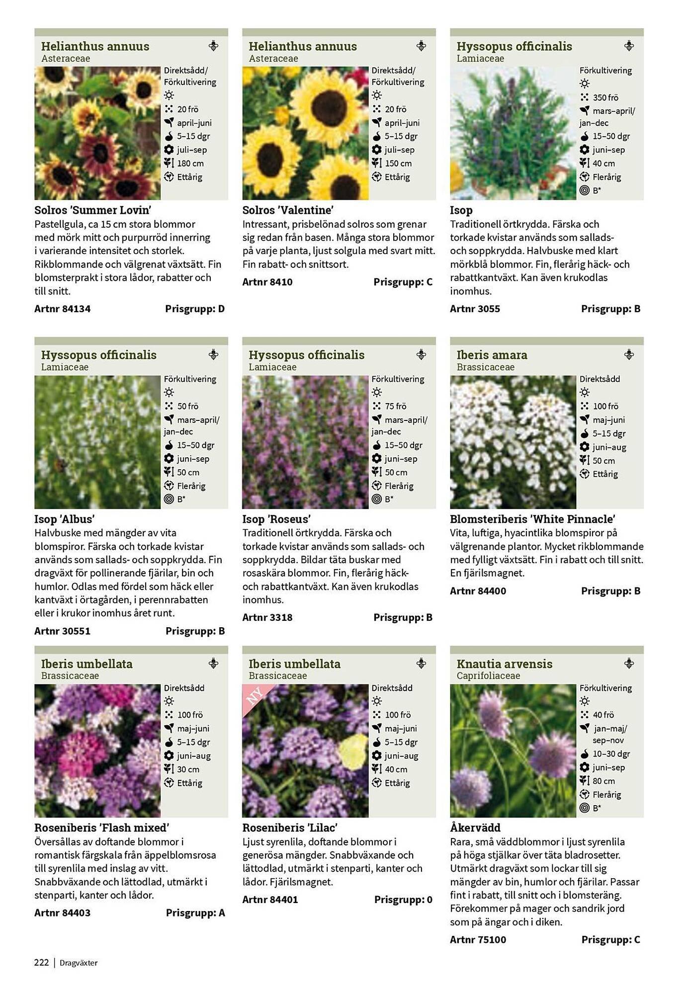 Granngården kampanjblad (2025-09-11 - 2025-12-31)