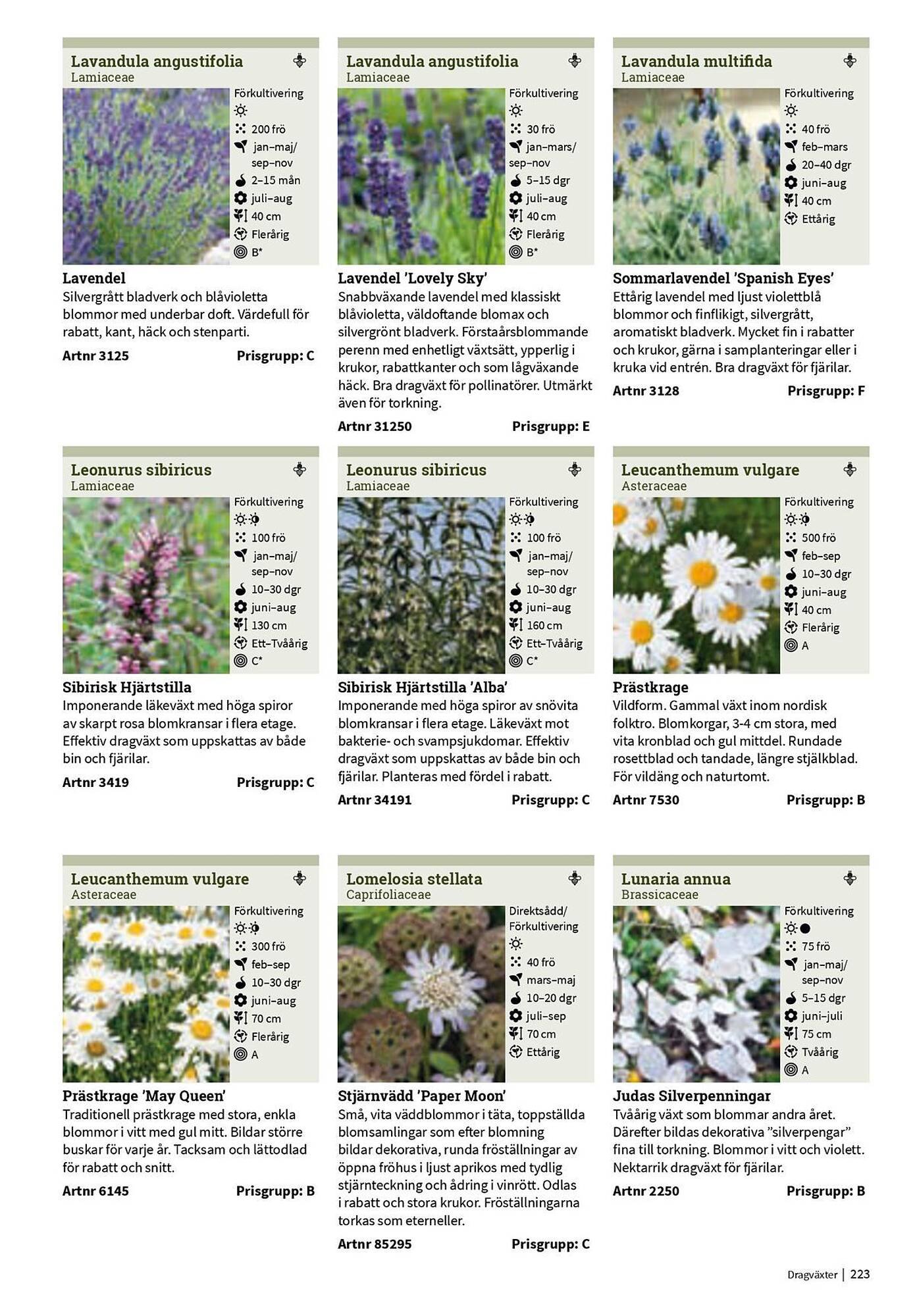 Granngården kampanjblad (2025-09-11 - 2025-12-31)