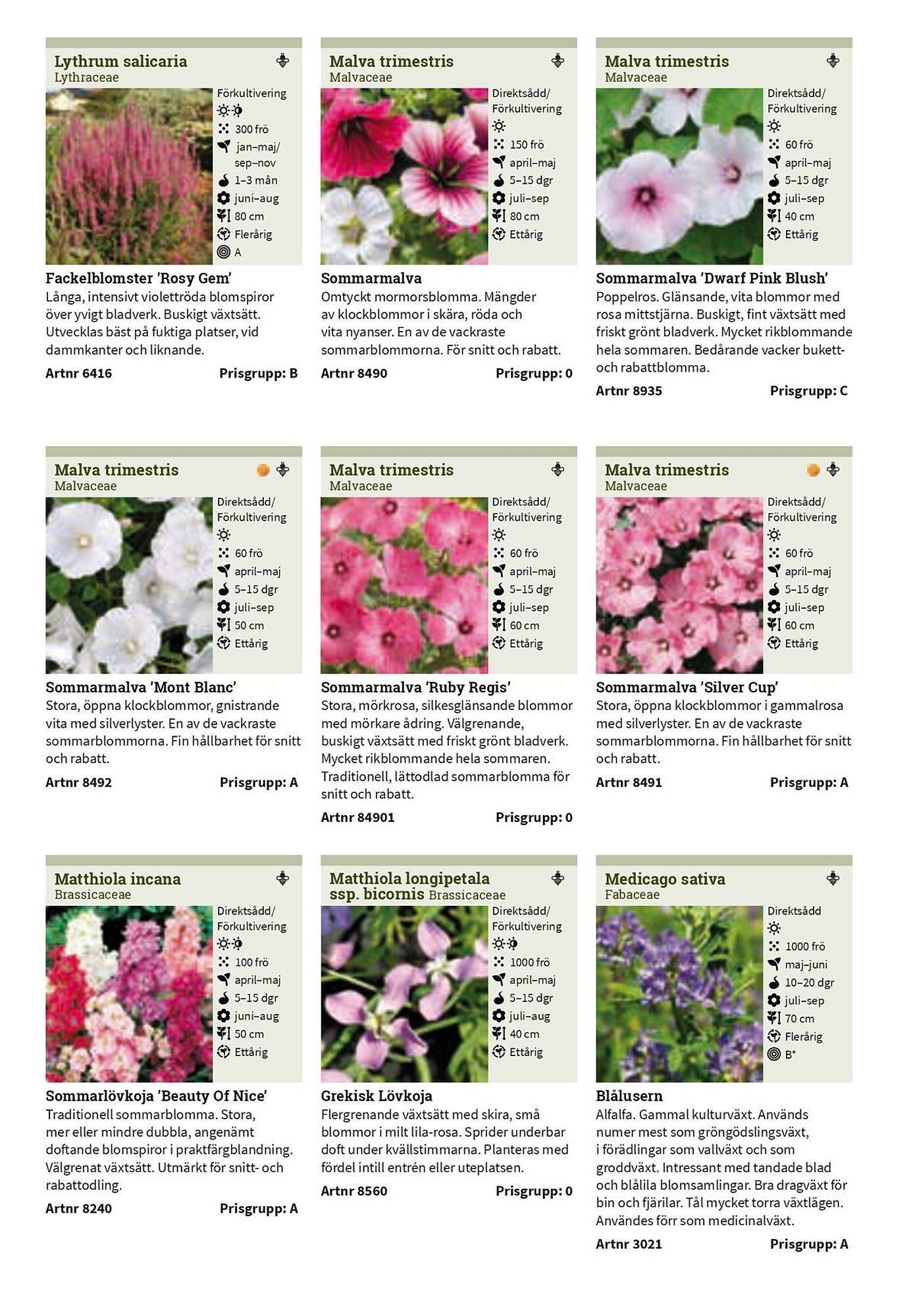 Granngården kampanjblad (2025-09-11 - 2025-12-31)