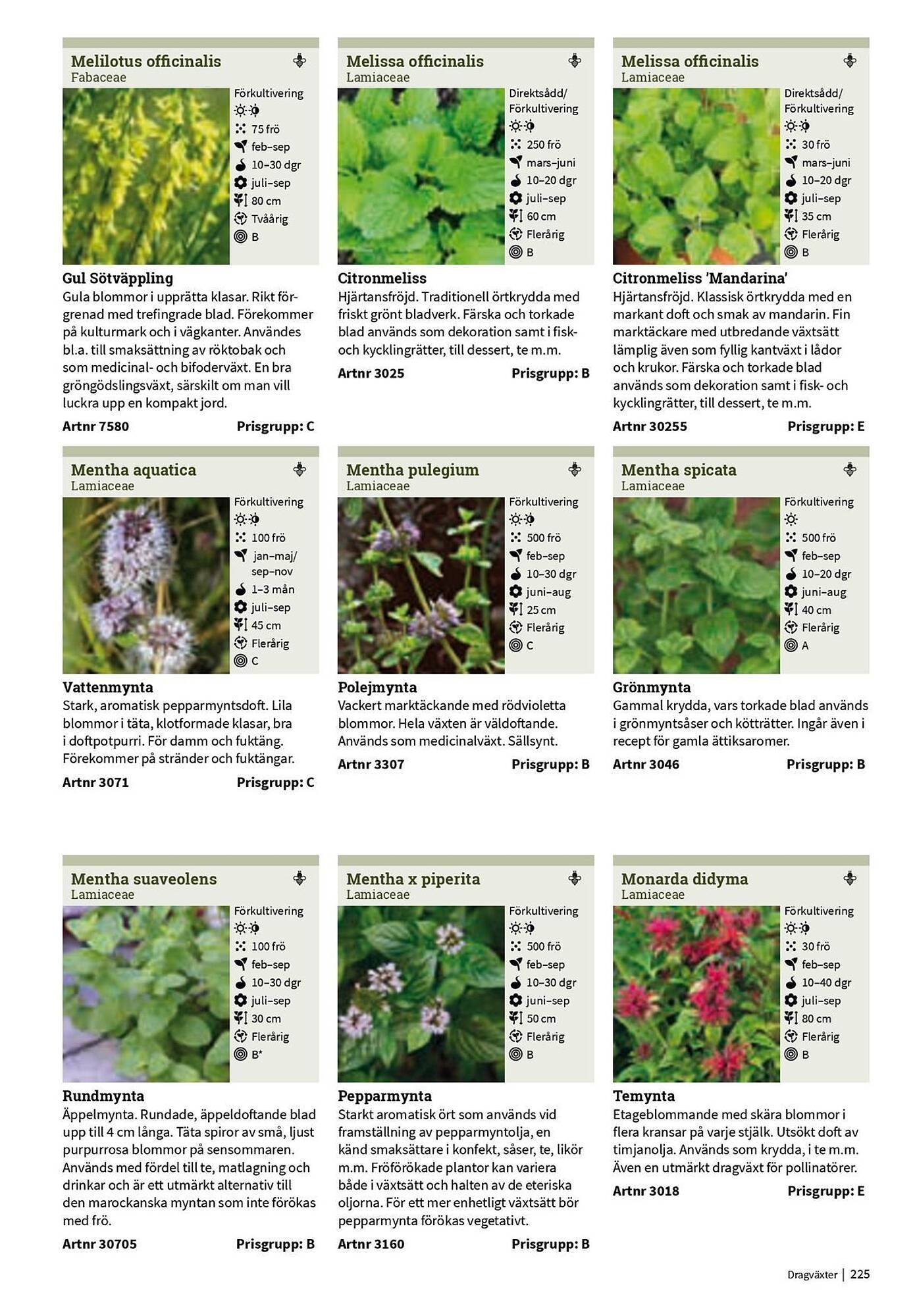 Granngården kampanjblad (2025-09-11 - 2025-12-31)