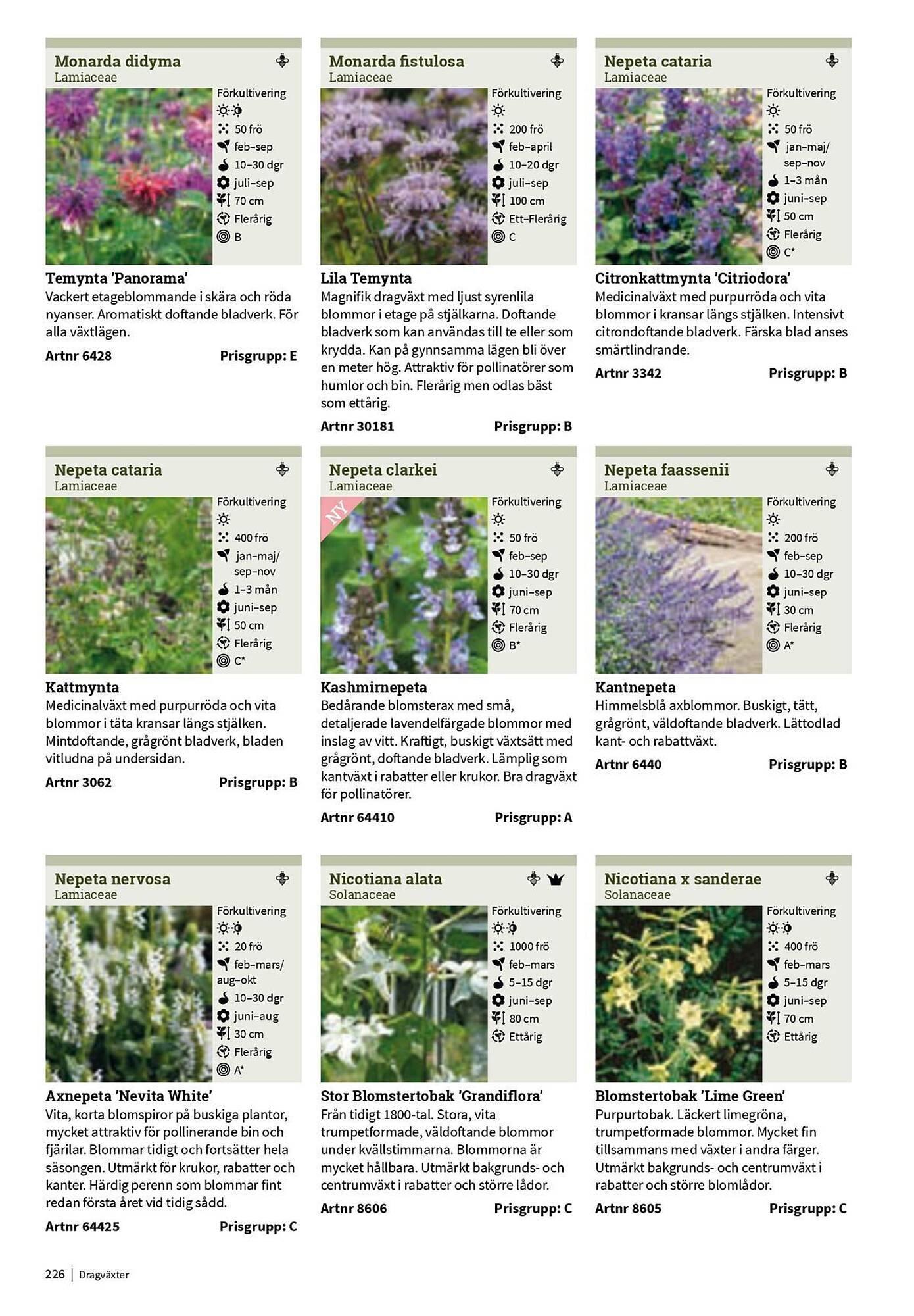 Granngården kampanjblad (2025-09-11 - 2025-12-31)