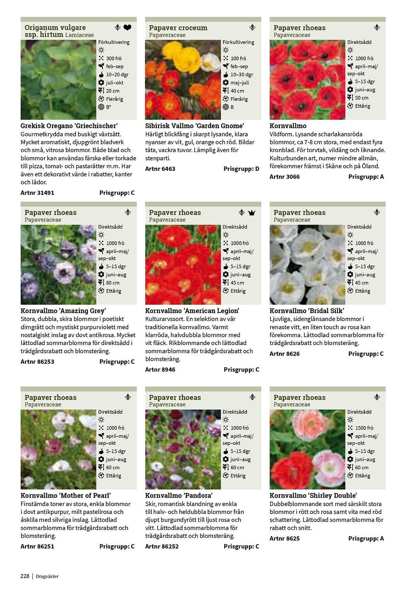 Granngården kampanjblad (2025-09-11 - 2025-12-31)