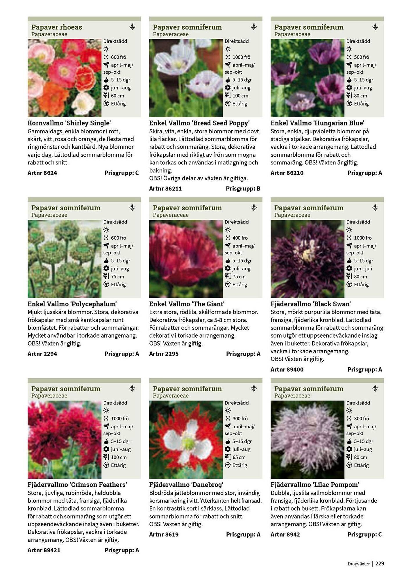 Granngården kampanjblad (2025-09-11 - 2025-12-31)