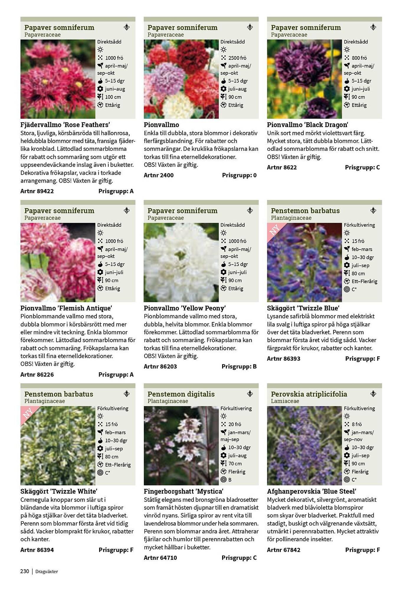 Granngården kampanjblad (2025-09-11 - 2025-12-31)