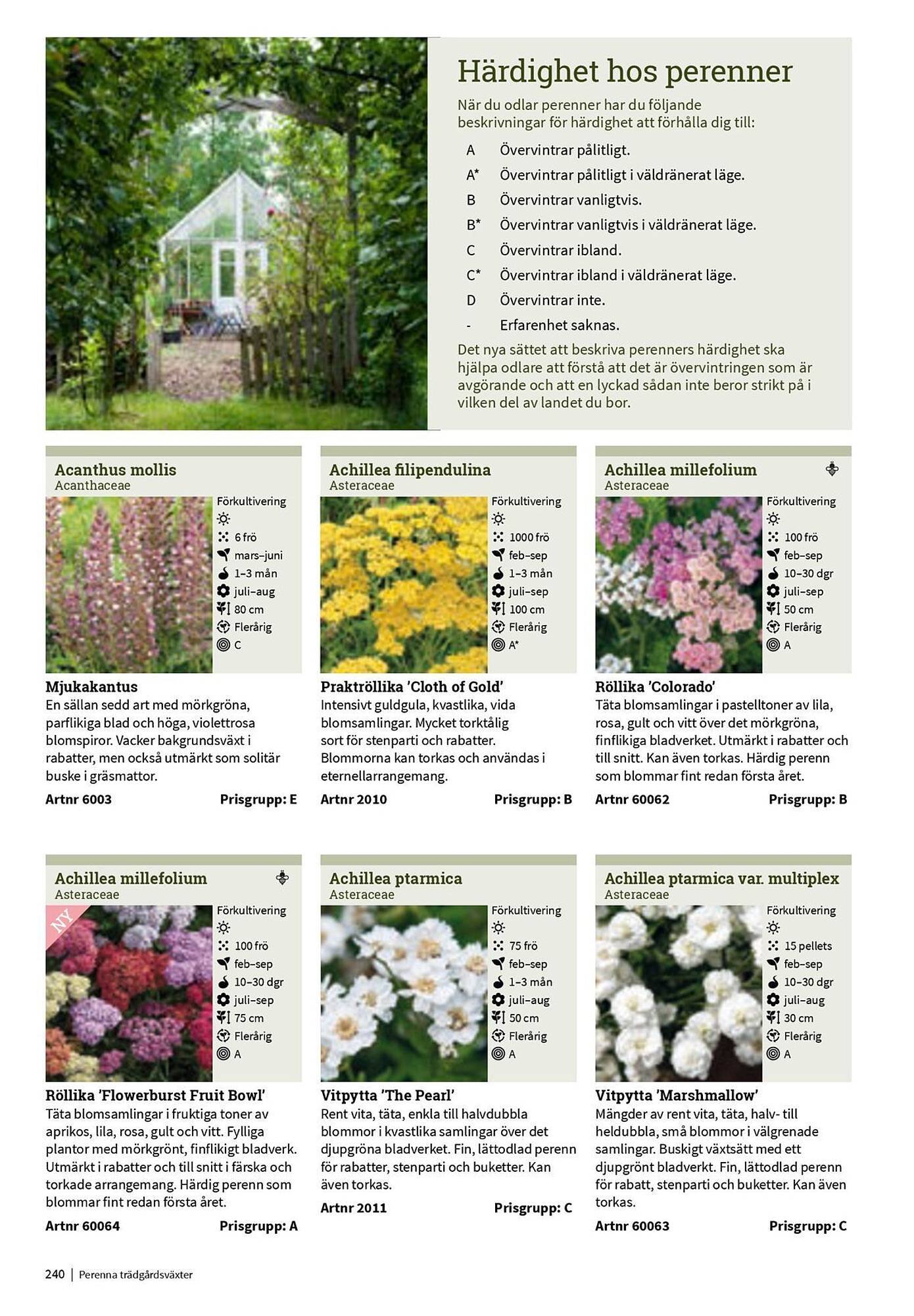 Granngården kampanjblad (2025-09-11 - 2025-12-31)