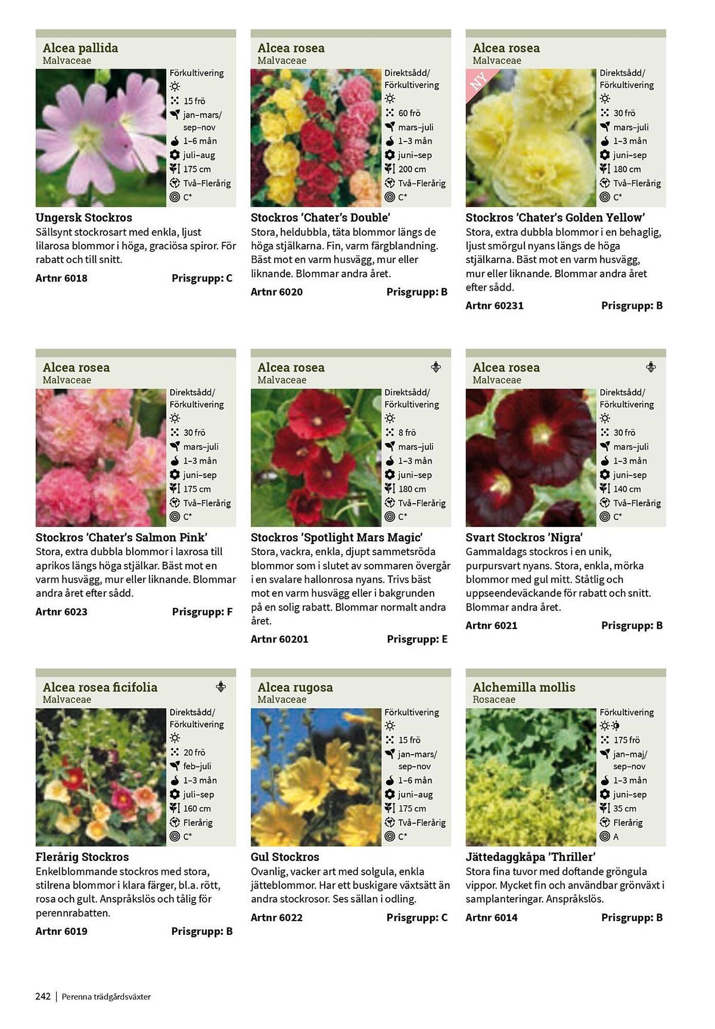 Granngården kampanjblad (2025-09-11 - 2025-12-31)
