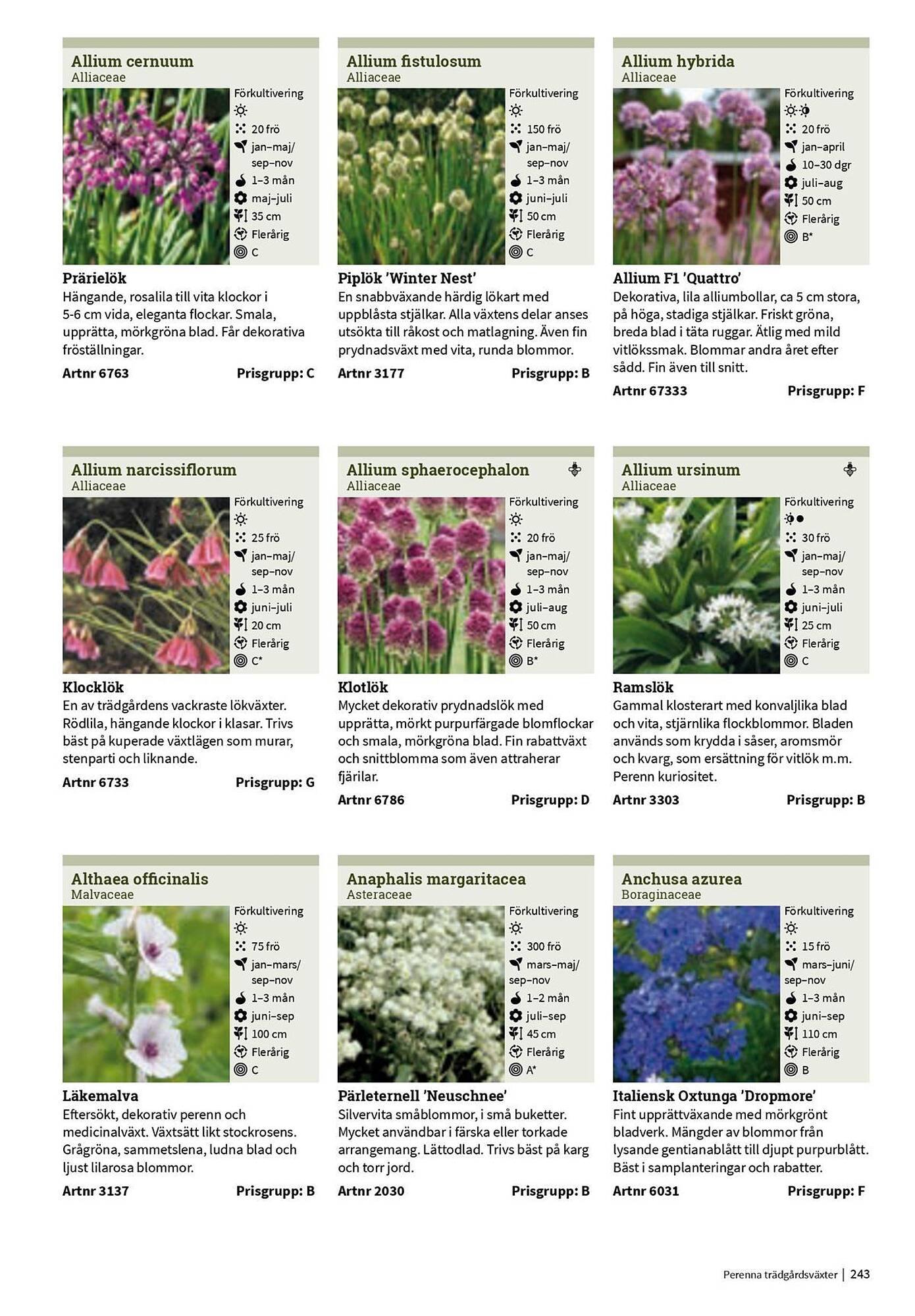 Granngården kampanjblad (2025-09-11 - 2025-12-31)