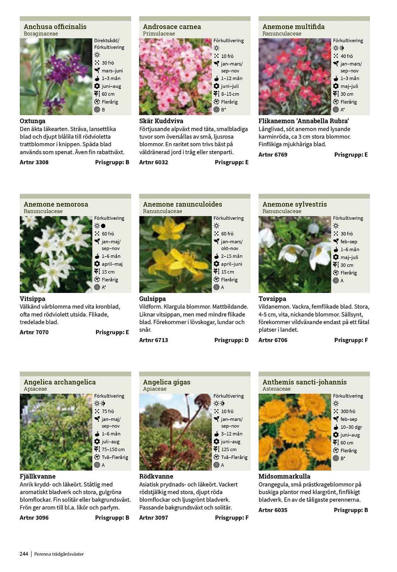 Granngården kampanjblad (2025-09-11 - 2025-12-31)