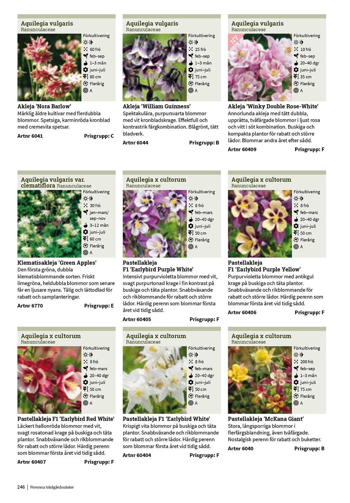 Granngården kampanjblad (2025-09-11 - 2025-12-31)