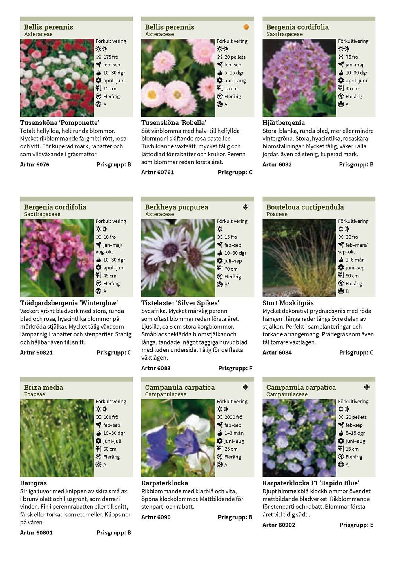 Granngården kampanjblad (2025-09-11 - 2025-12-31)