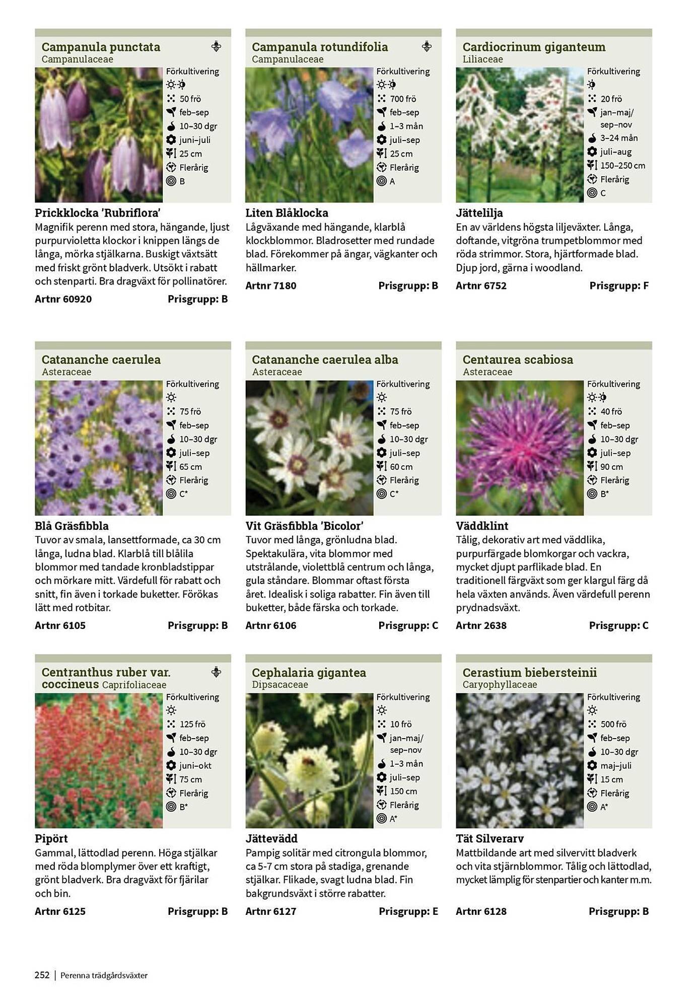 Granngården kampanjblad (2025-09-11 - 2025-12-31)