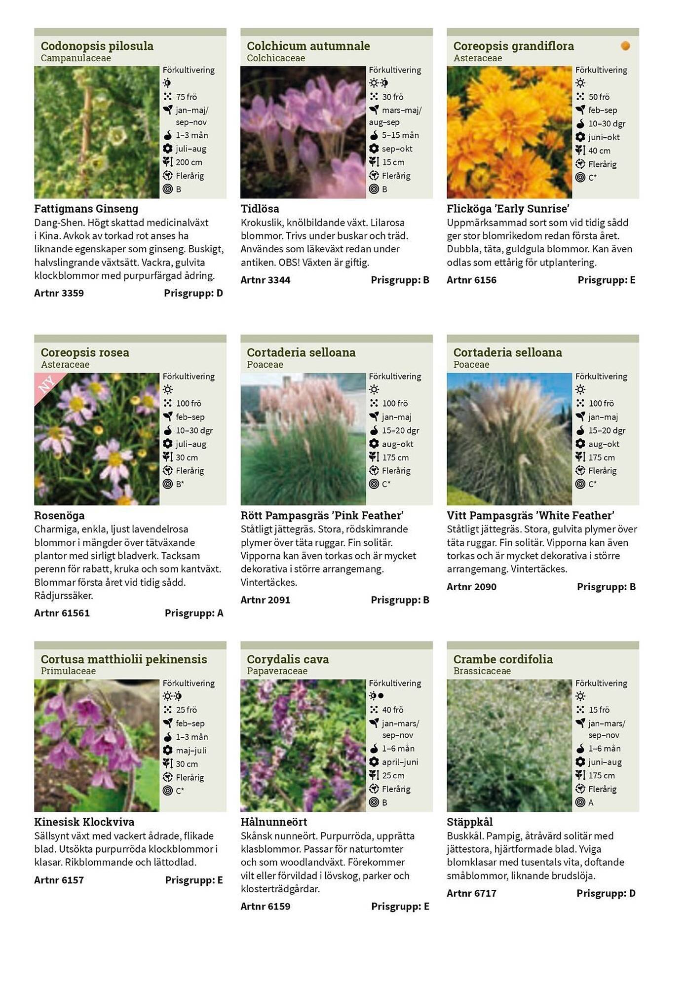 Granngården kampanjblad (2025-09-11 - 2025-12-31)