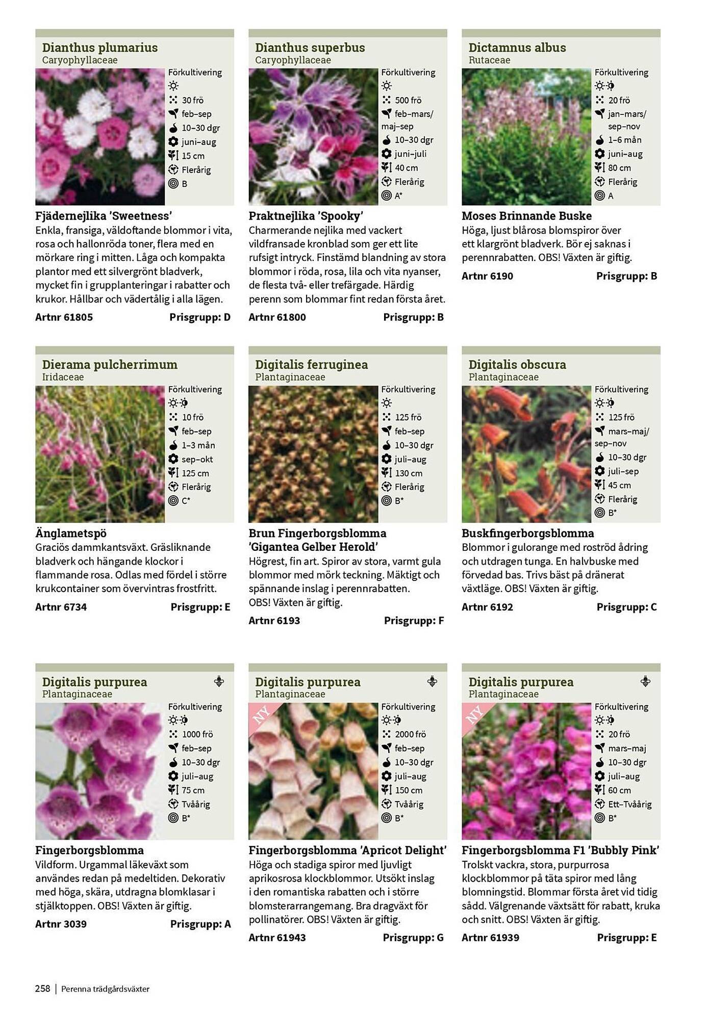 Granngården kampanjblad (2025-09-11 - 2025-12-31)
