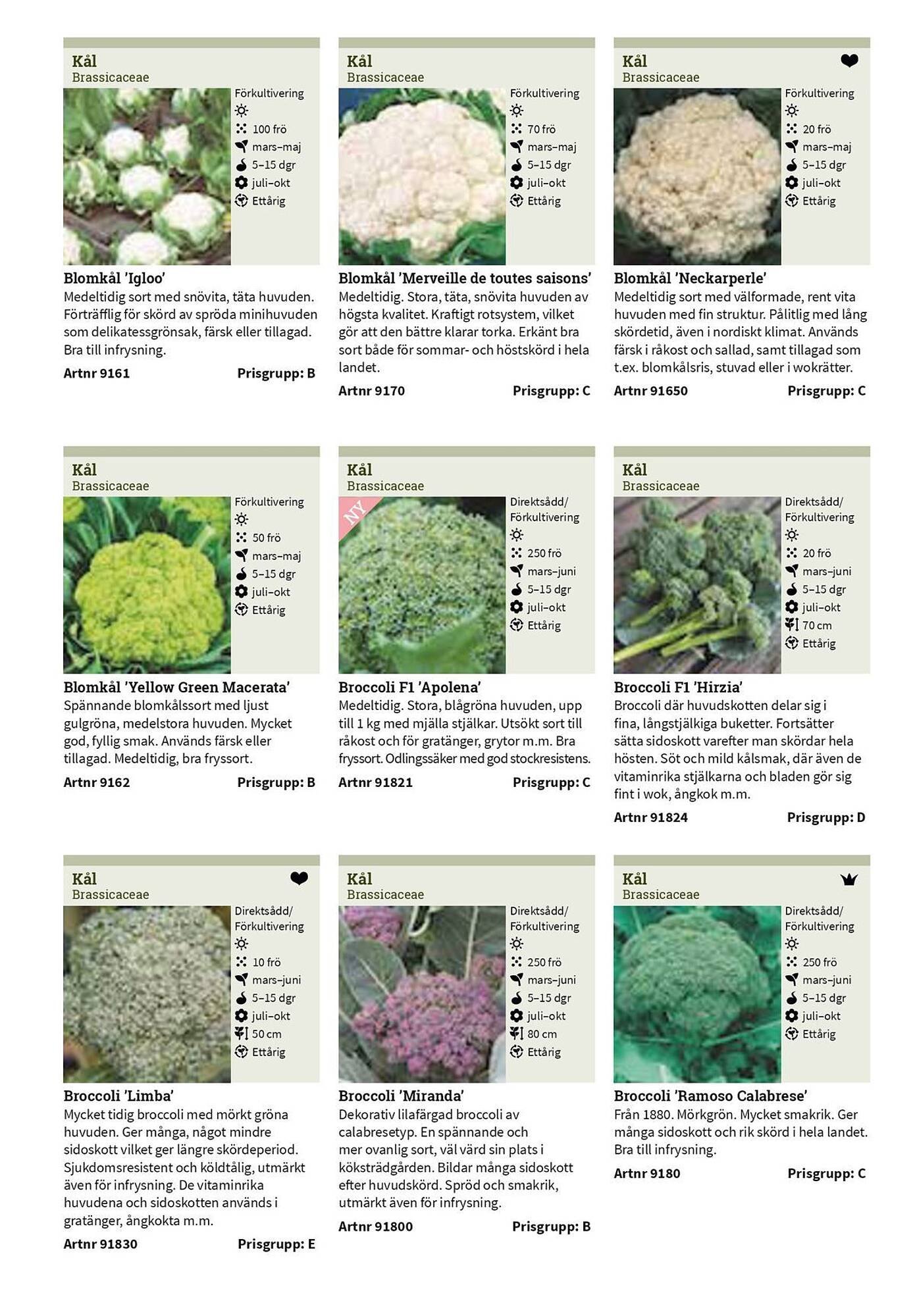 Granngården kampanjblad (2025-09-11 - 2025-12-31)