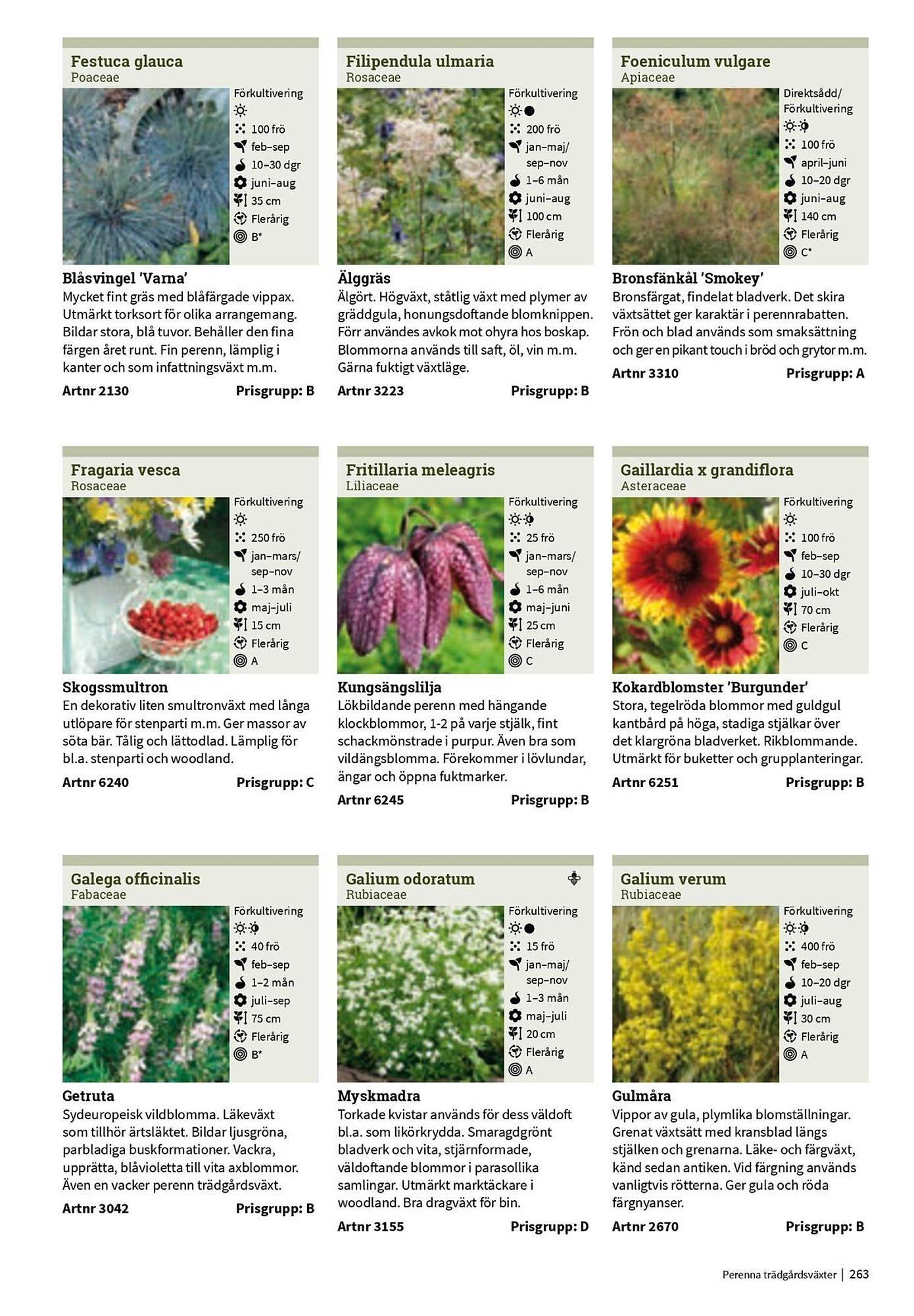 Granngården kampanjblad (2025-09-11 - 2025-12-31)