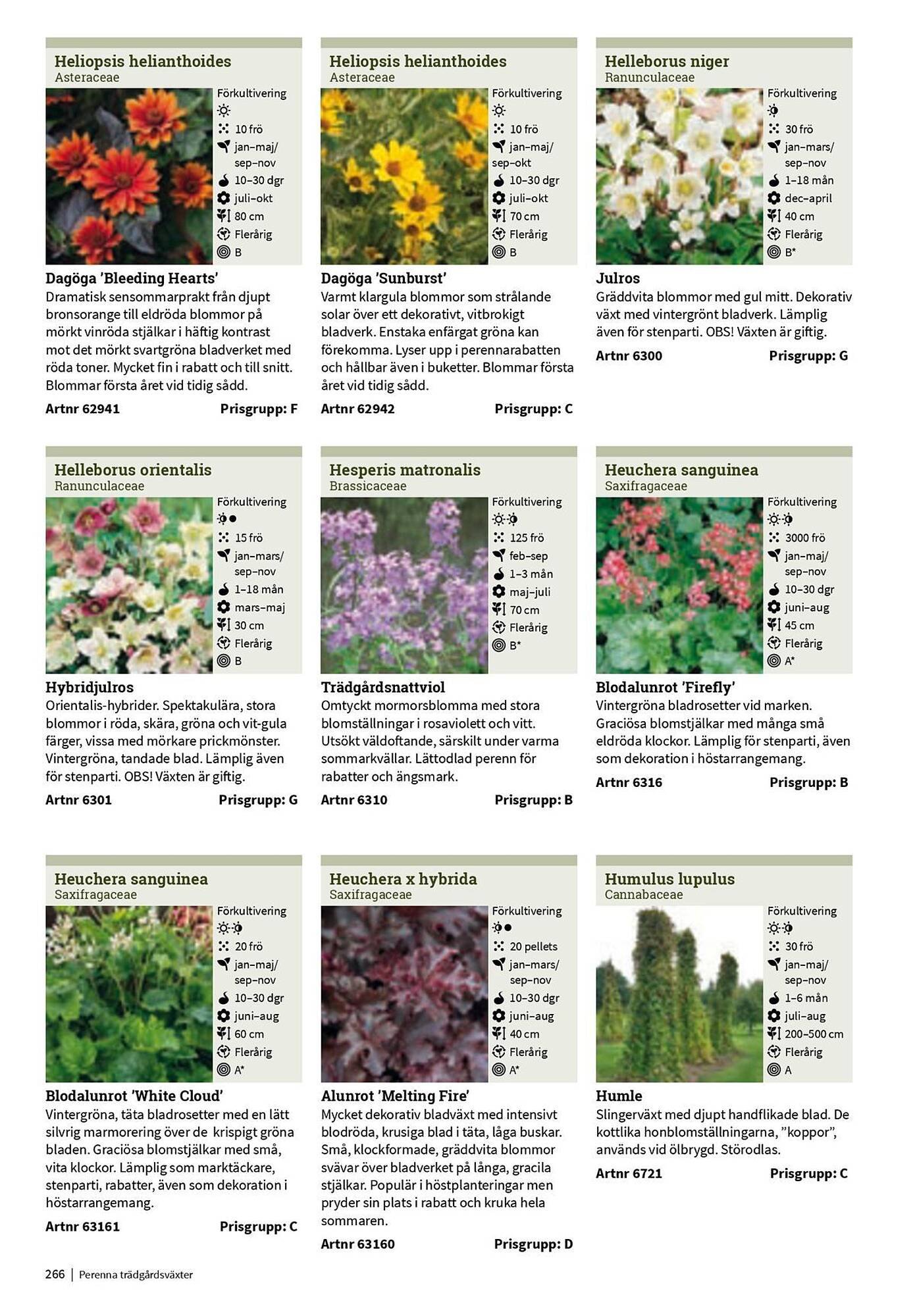 Granngården kampanjblad (2025-09-11 - 2025-12-31)