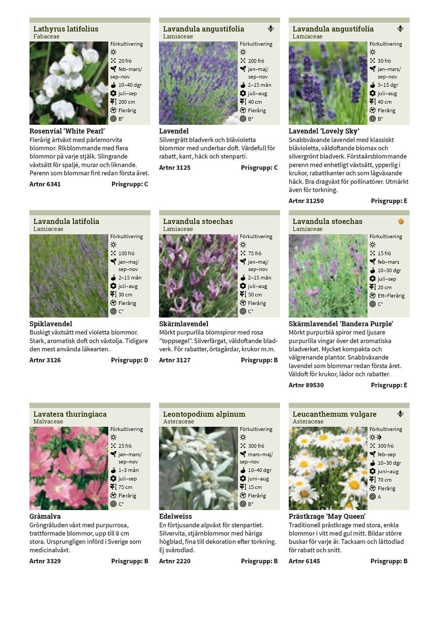 Granngården kampanjblad (2025-09-11 - 2025-12-31)