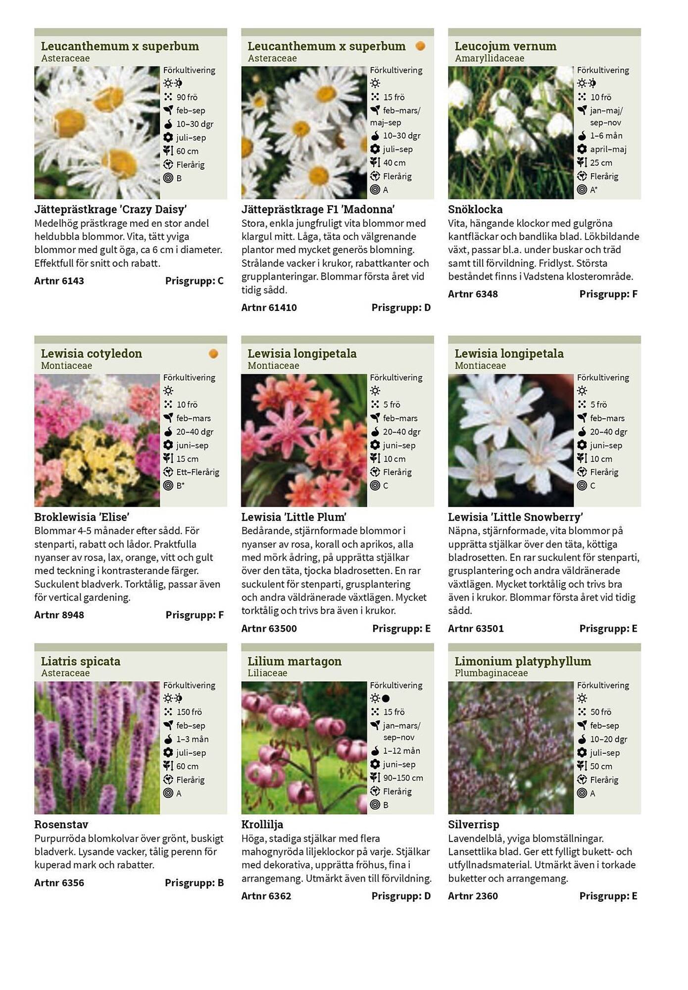 Granngården kampanjblad (2025-09-11 - 2025-12-31)