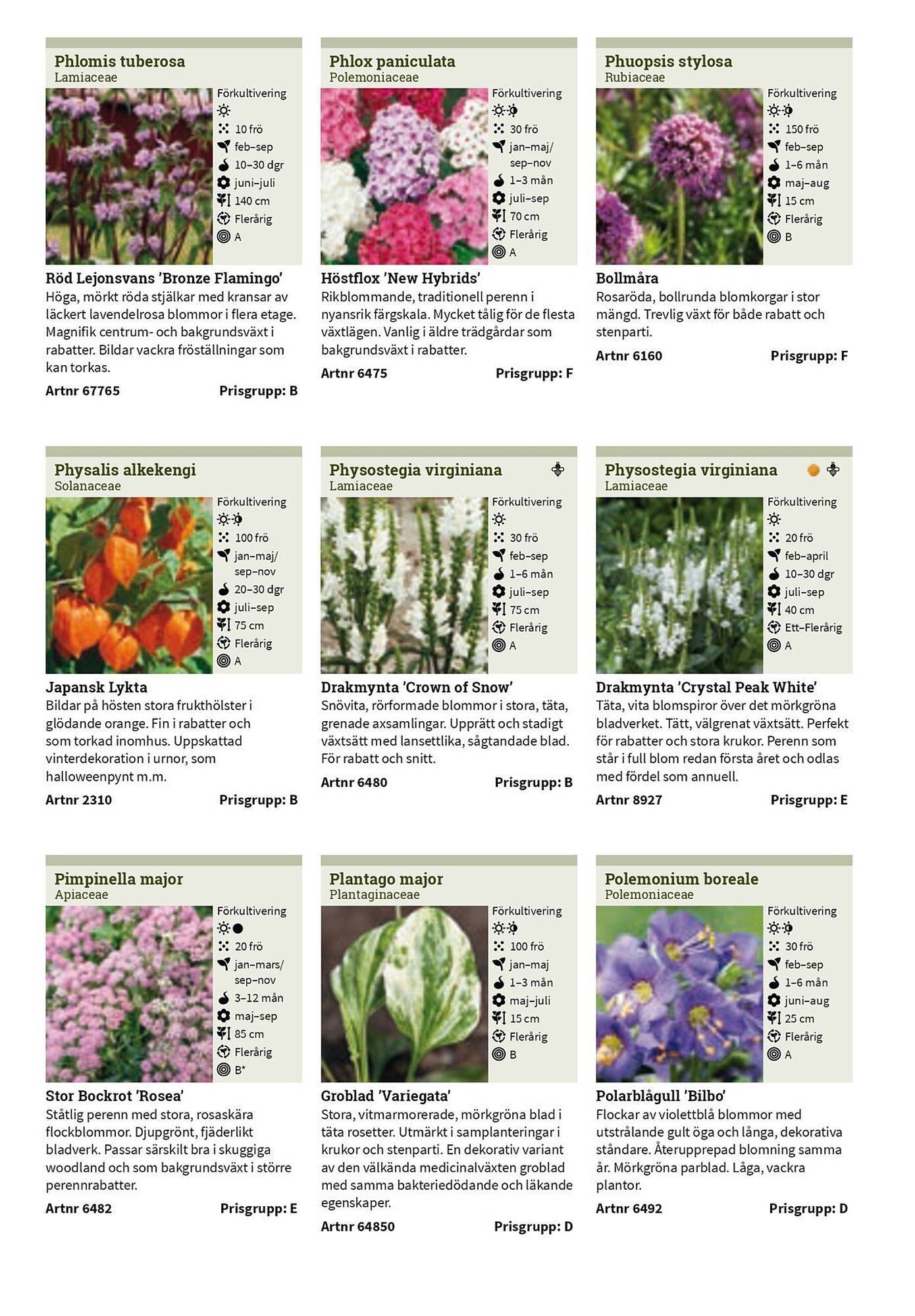 Granngården kampanjblad (2025-09-11 - 2025-12-31)