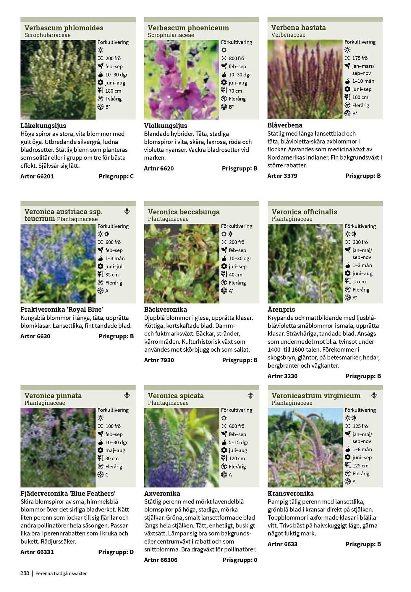 Granngården kampanjblad (2025-09-11 - 2025-12-31)