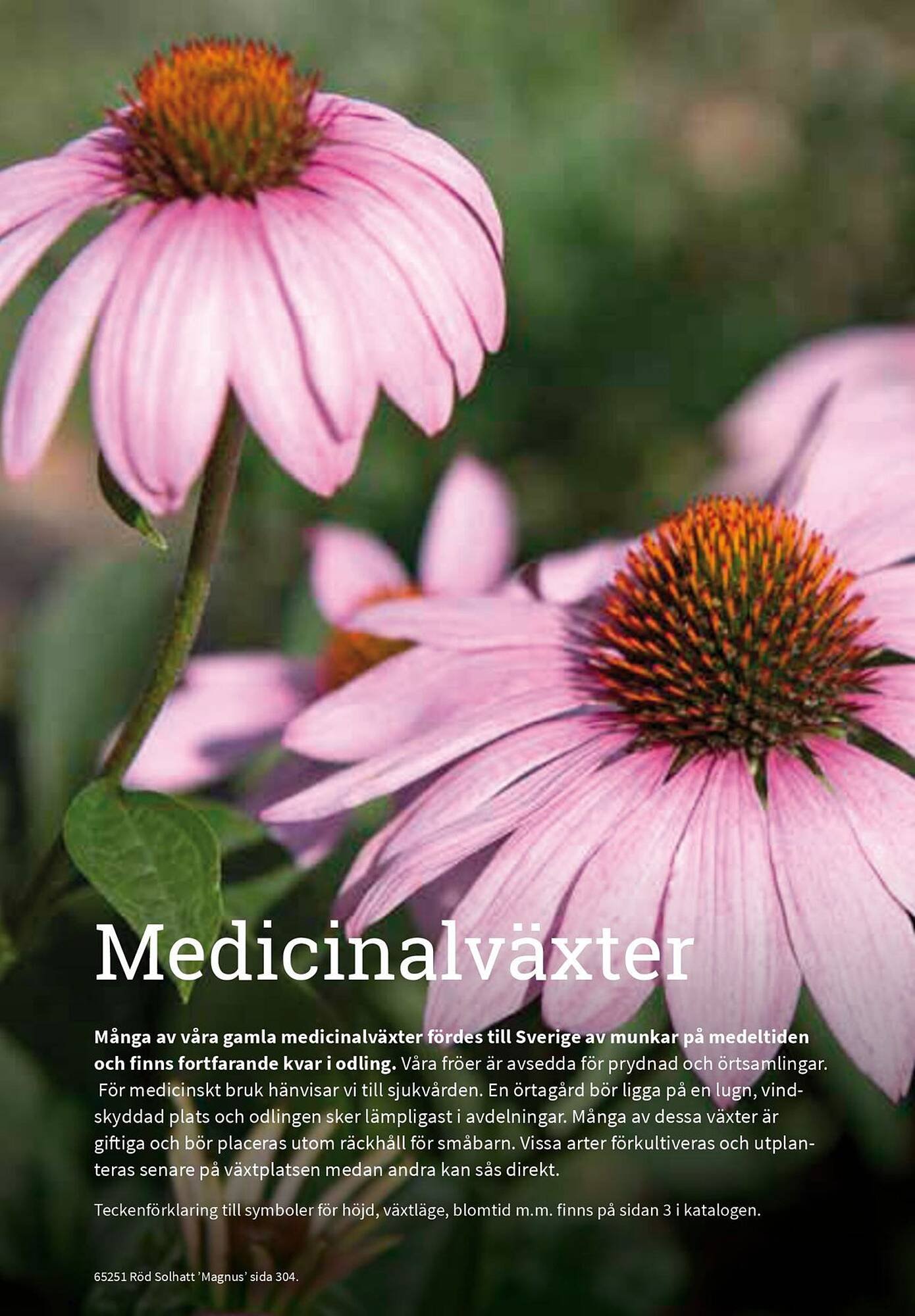 Granngården kampanjblad (2025-09-11 - 2025-12-31)