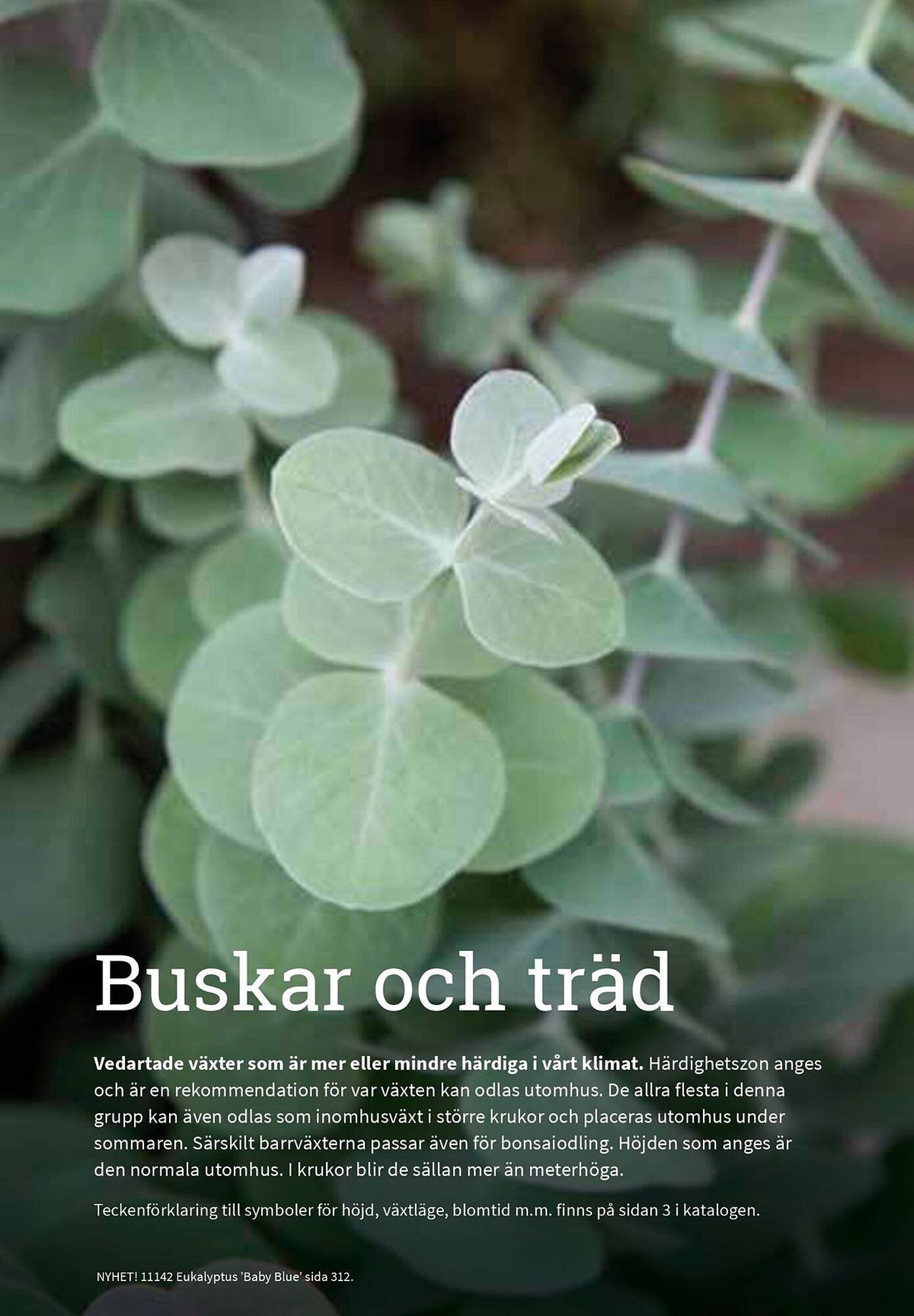 Granngården kampanjblad (2025-09-11 - 2025-12-31)