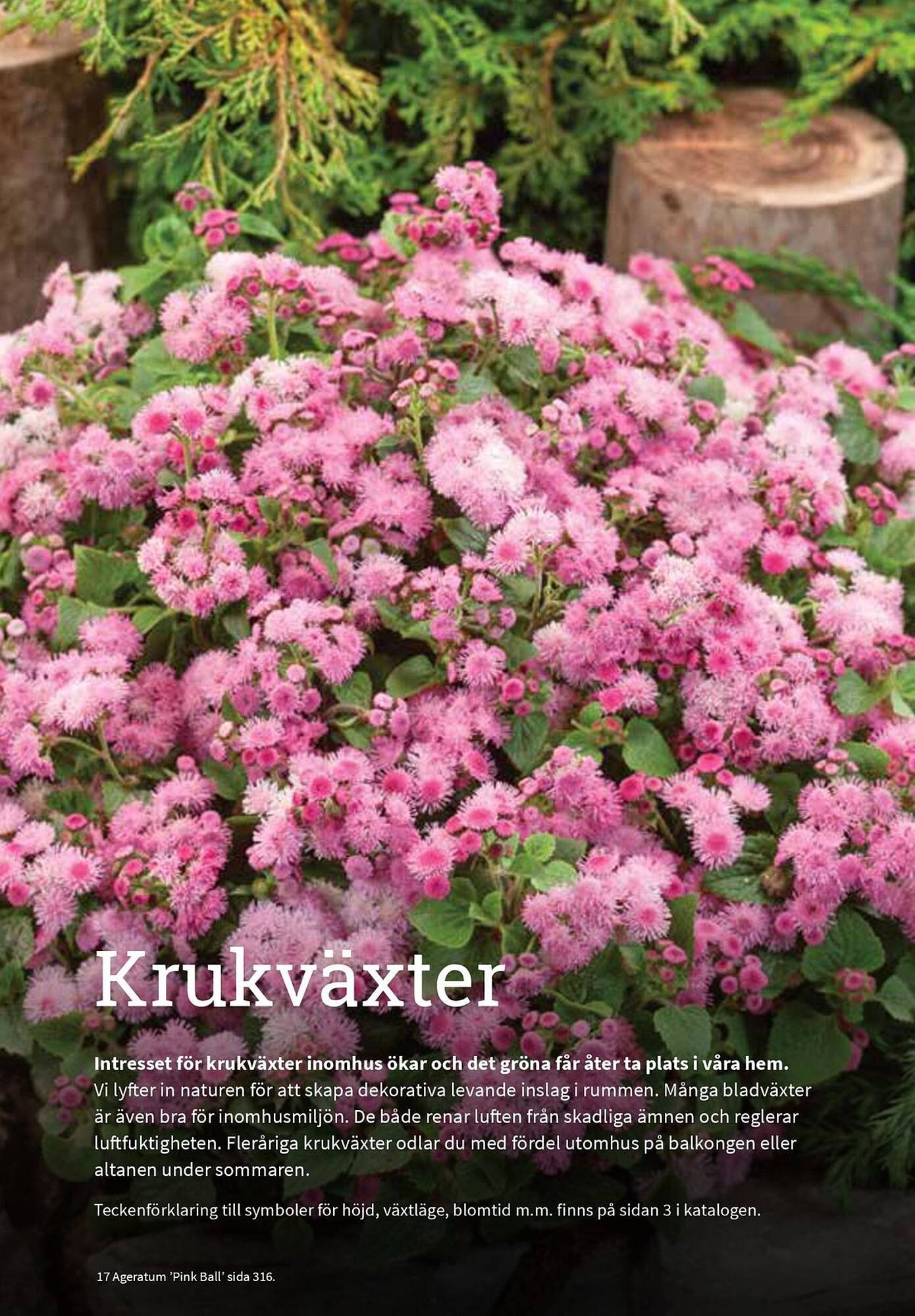 Granngården kampanjblad (2025-09-11 - 2025-12-31)