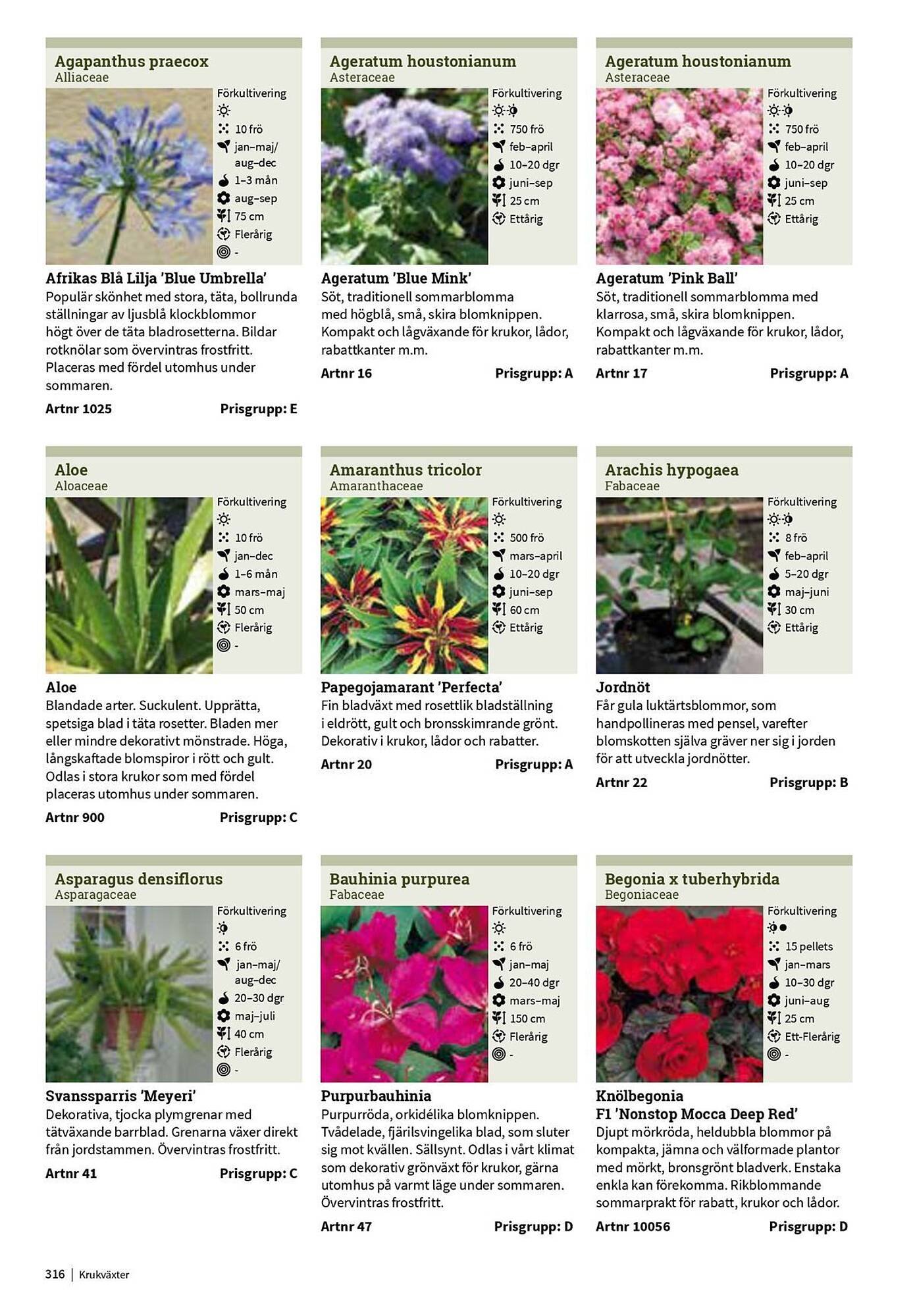 Granngården kampanjblad (2025-09-11 - 2025-12-31)