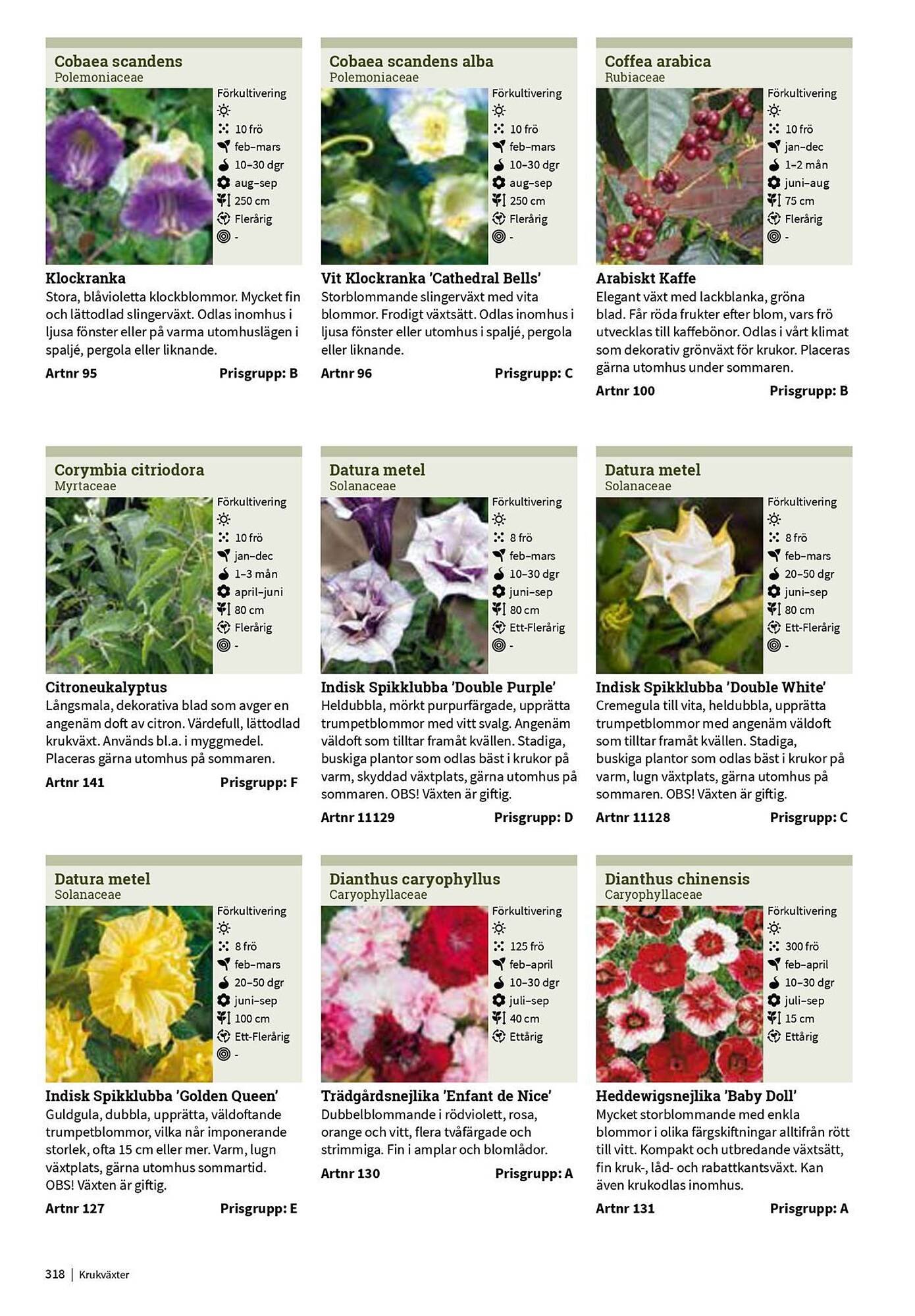 Granngården kampanjblad (2025-09-11 - 2025-12-31)