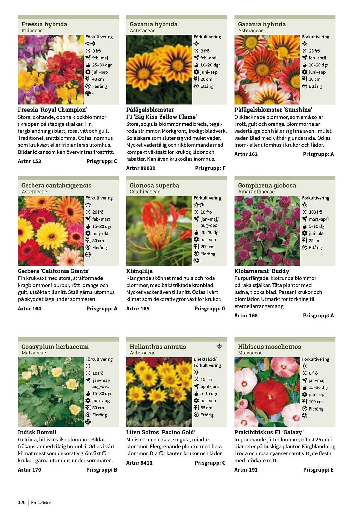 Granngården kampanjblad (2025-09-11 - 2025-12-31)