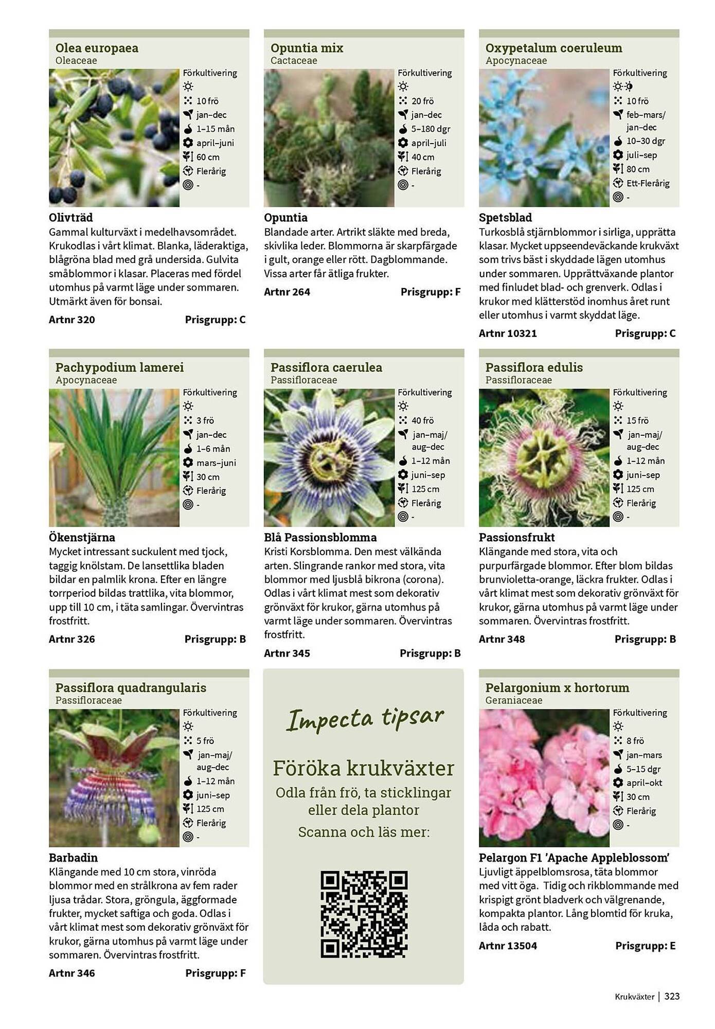 Granngården kampanjblad (2025-09-11 - 2025-12-31)