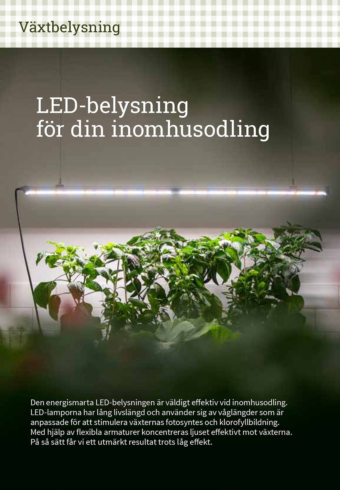 Granngården kampanjblad (2025-09-11 - 2025-12-31)