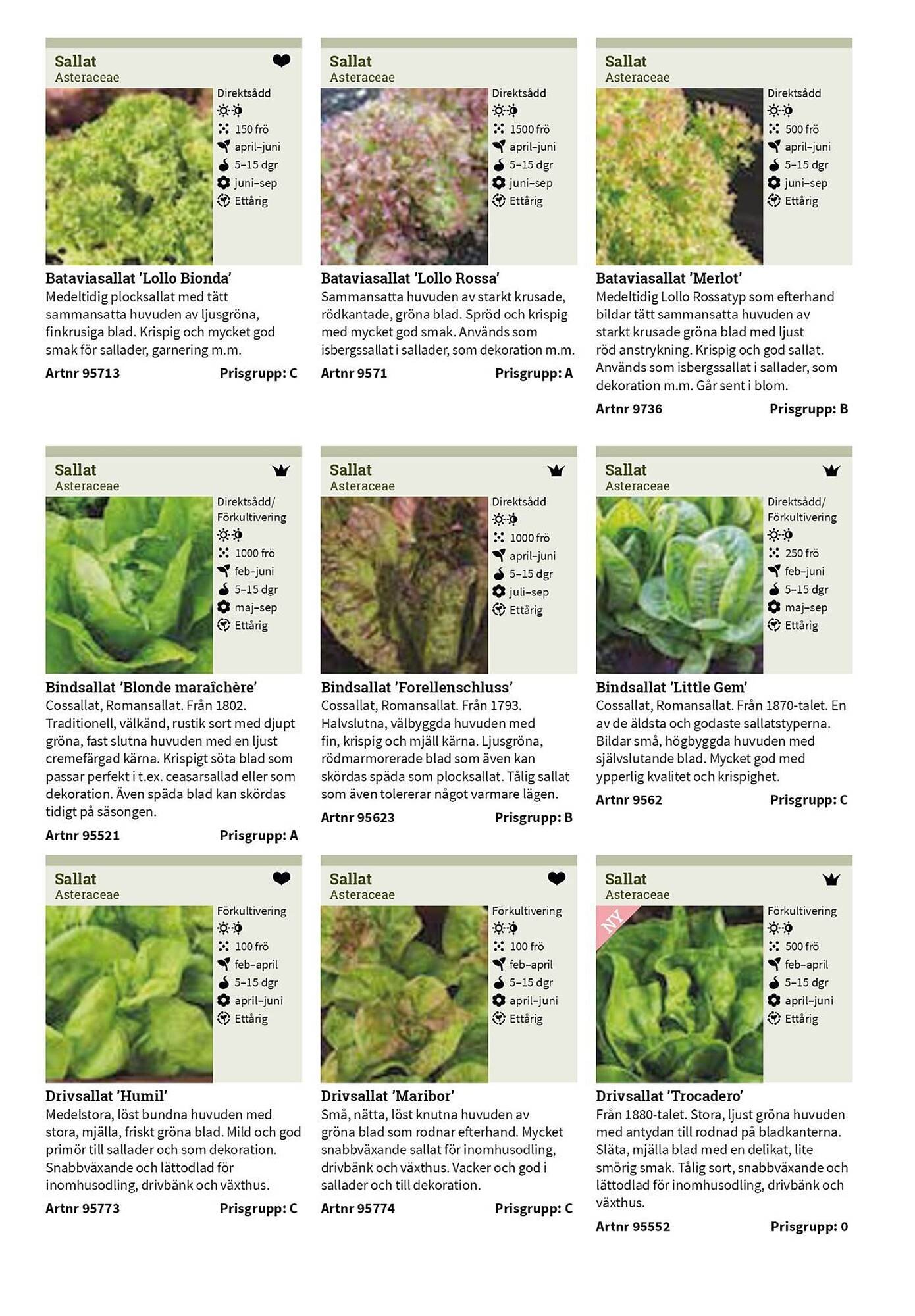 Granngården kampanjblad (2025-09-11 - 2025-12-31)