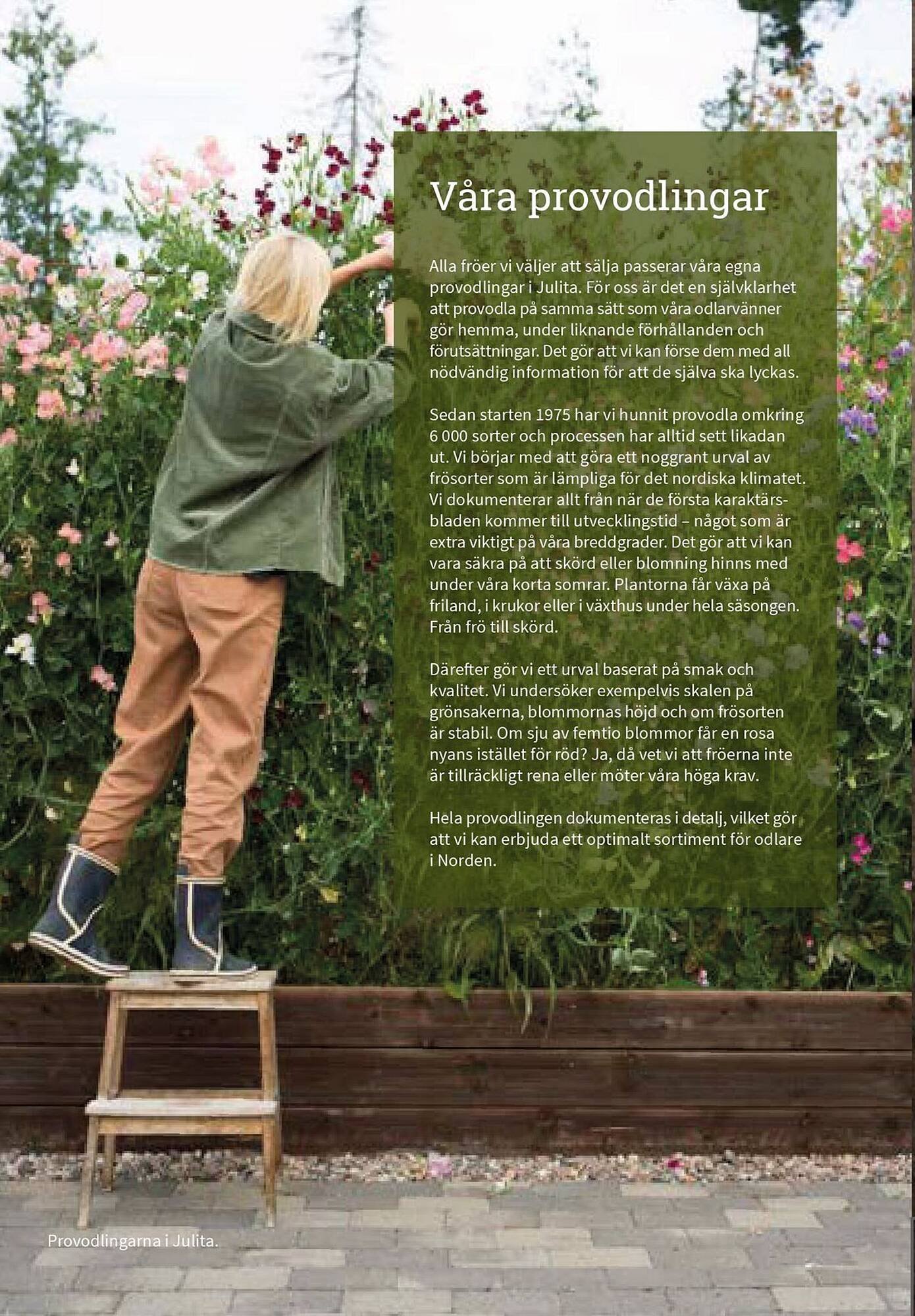 Granngården kampanjblad (2025-09-11 - 2025-12-31)