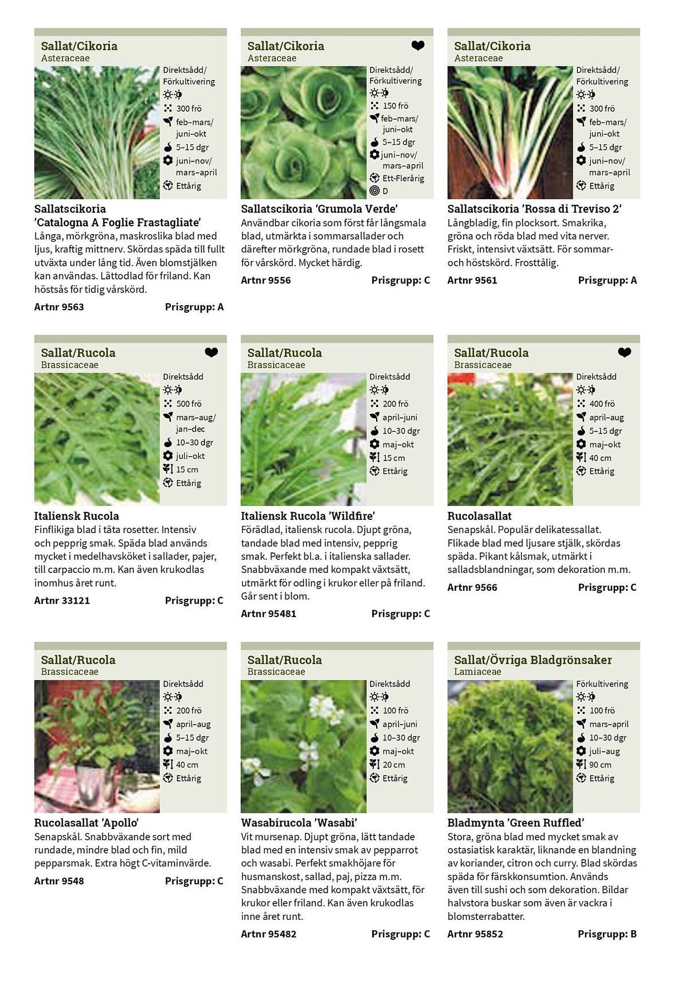 Granngården kampanjblad (2025-09-11 - 2025-12-31)