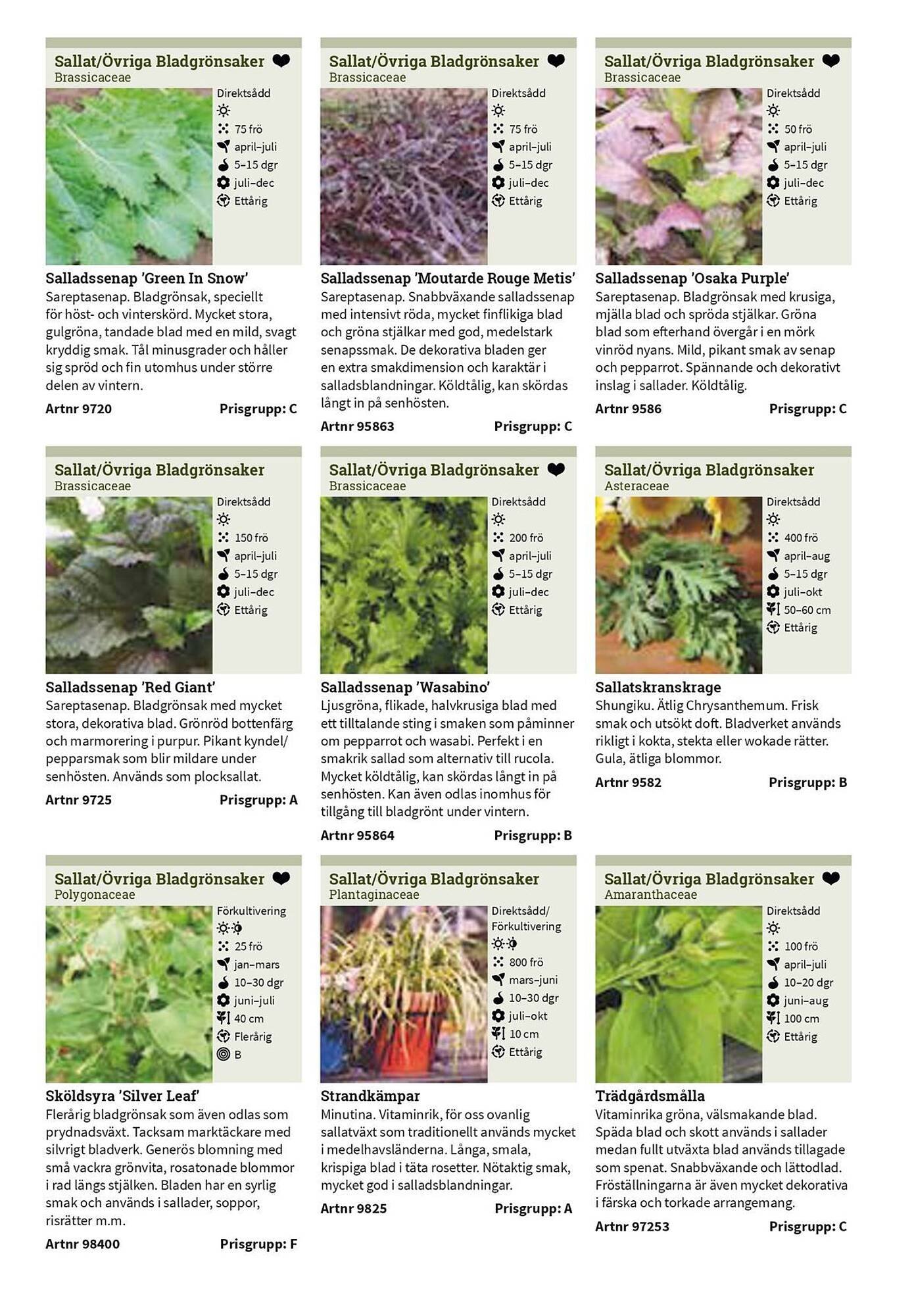 Granngården kampanjblad (2025-09-11 - 2025-12-31)