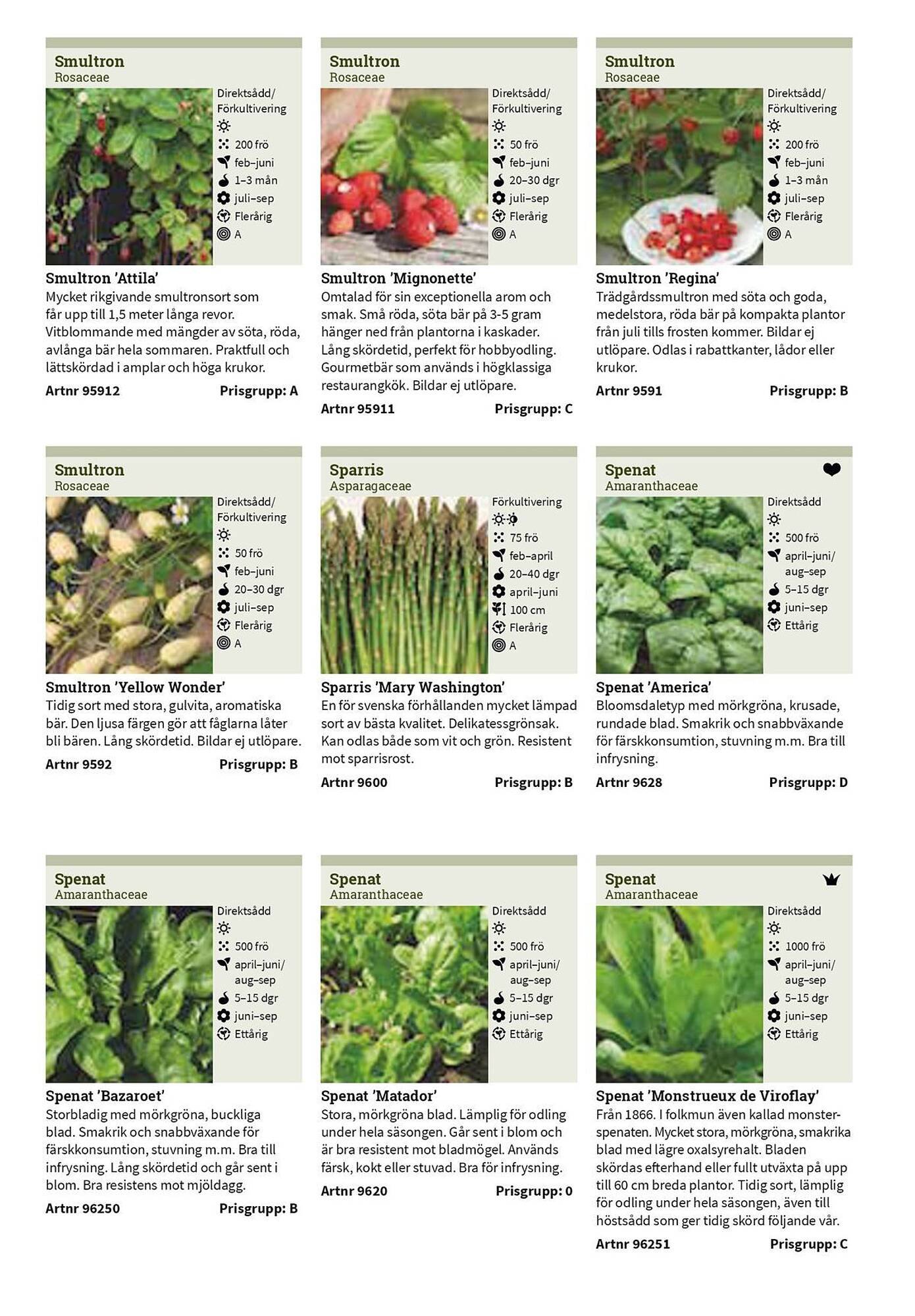 Granngården kampanjblad (2025-09-11 - 2025-12-31)