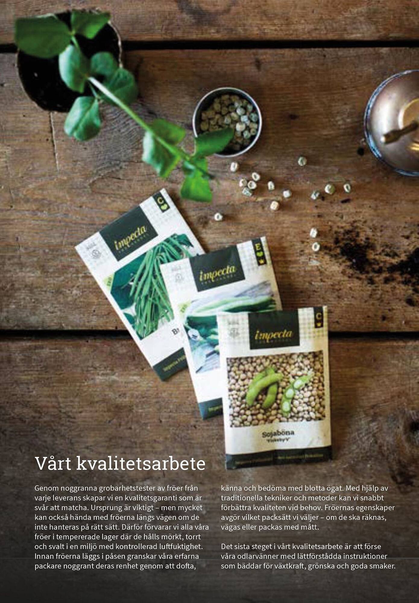 Granngården kampanjblad (2025-09-11 - 2025-12-31)