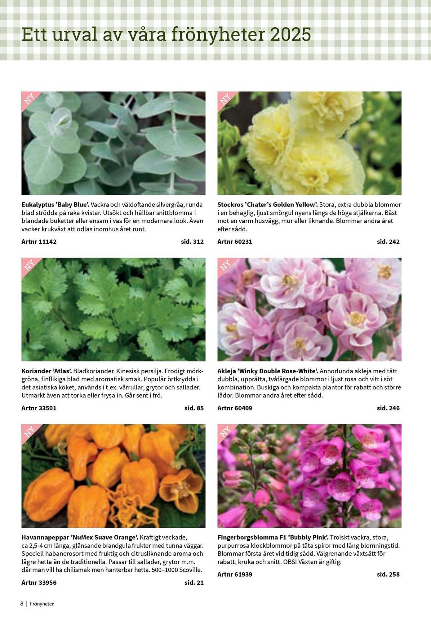 Granngården kampanjblad (2025-09-11 - 2025-12-31)