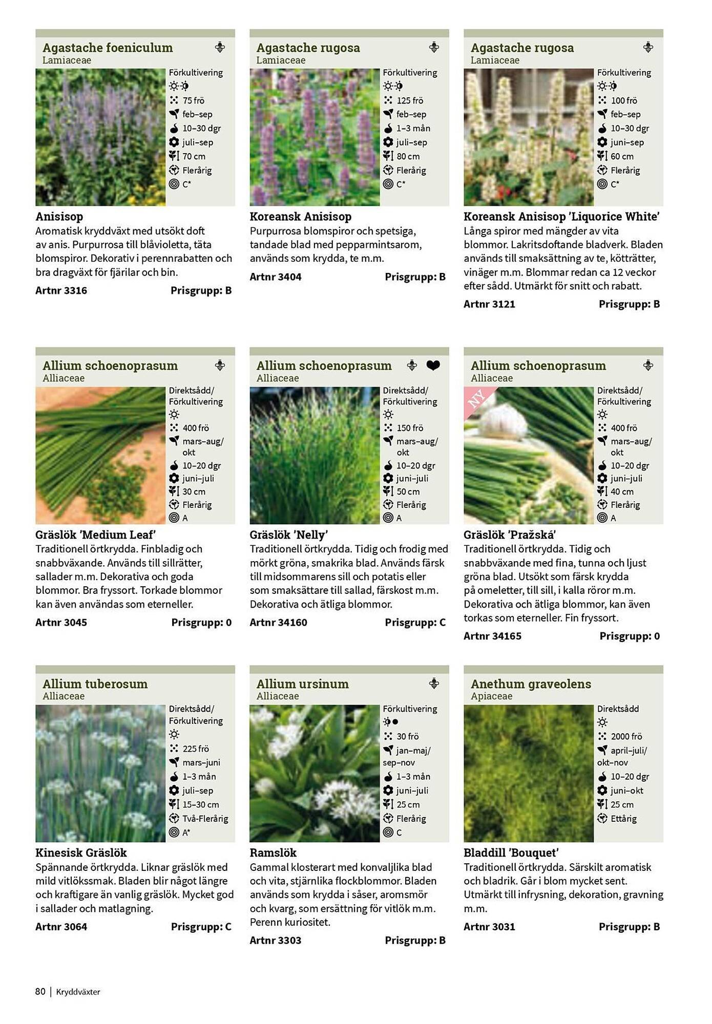 Granngården kampanjblad (2025-09-11 - 2025-12-31)