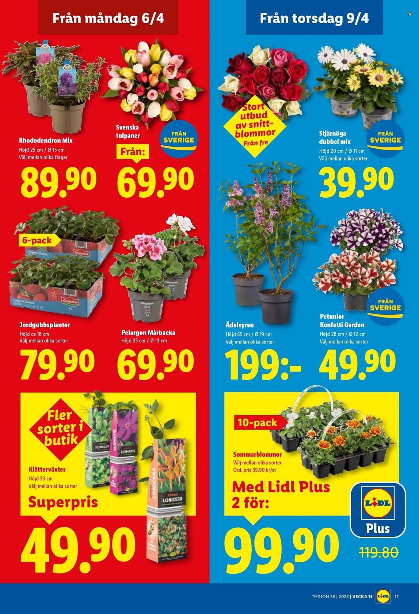 Lidl reklamblad