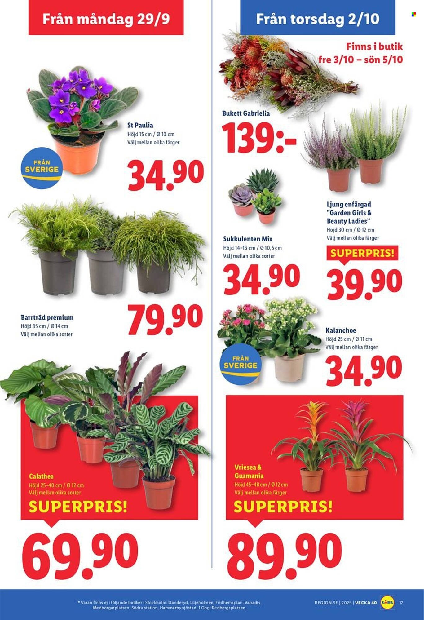 Lidl reklamblad (2025-09-29 - 2025-10-05)