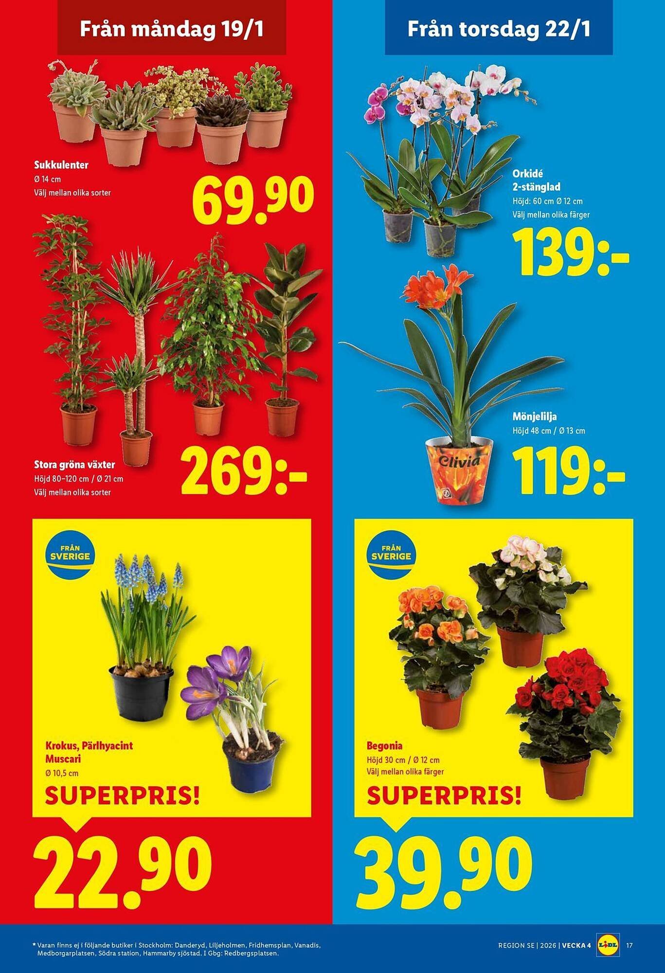 Lidl reklamblad