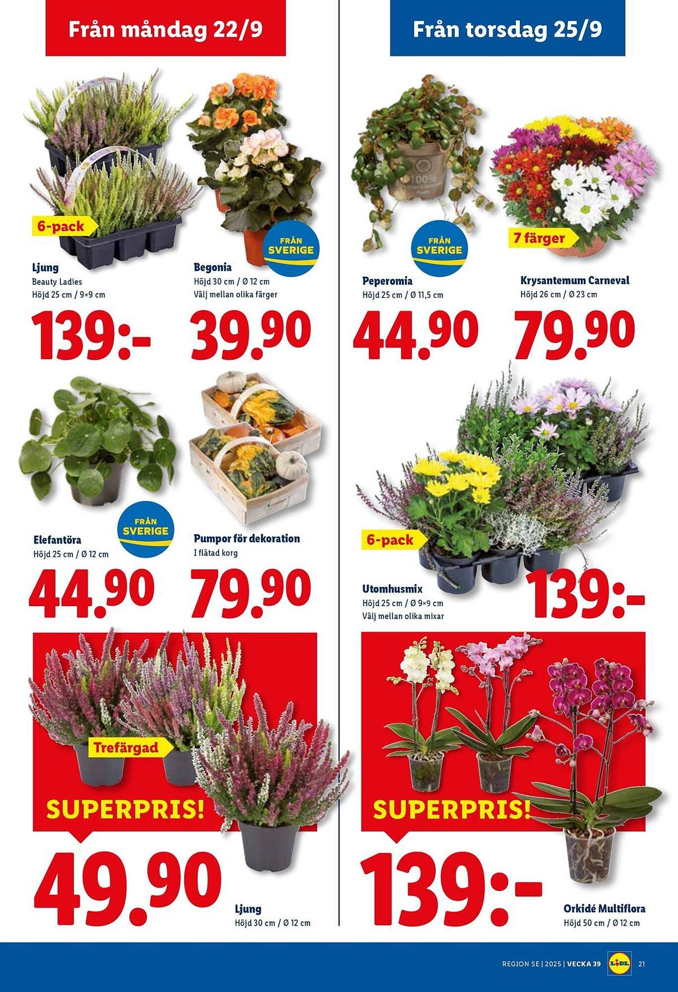 Lidl reklamblad (2025-09-22 - 2025-09-28)