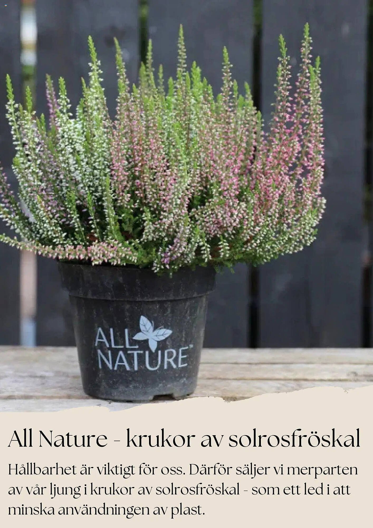 Plantagen annonsblad (2025-10-27 - 2025-11-26)